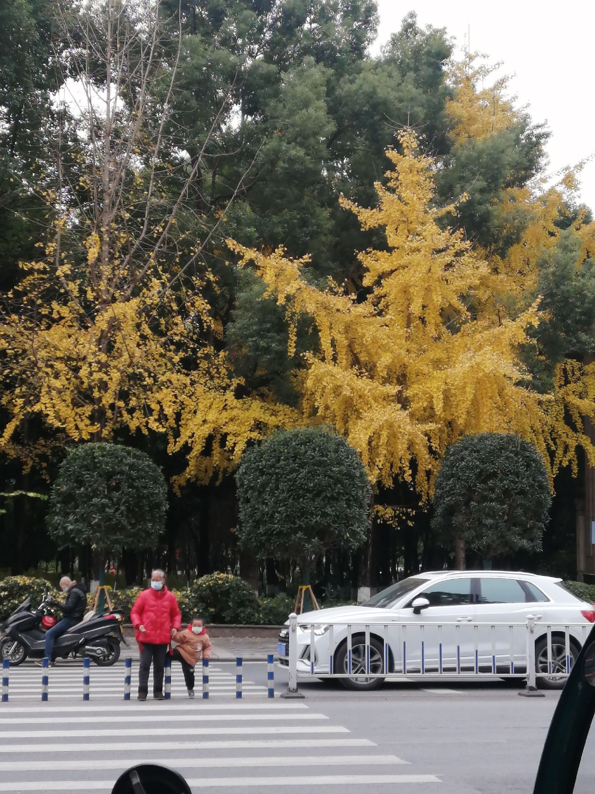 玉泉公园旅行图片 1