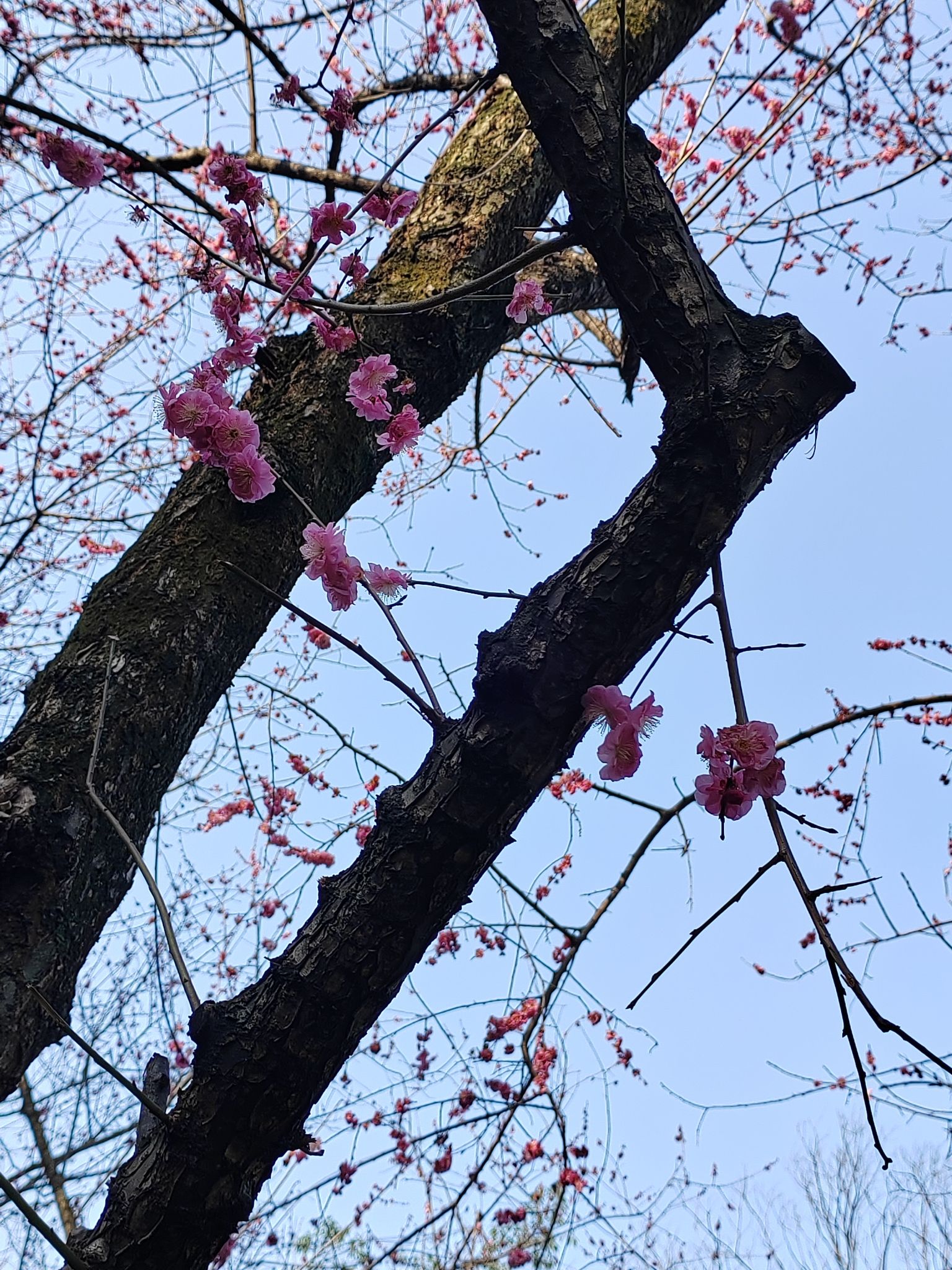 玉泉公园旅行图片 2