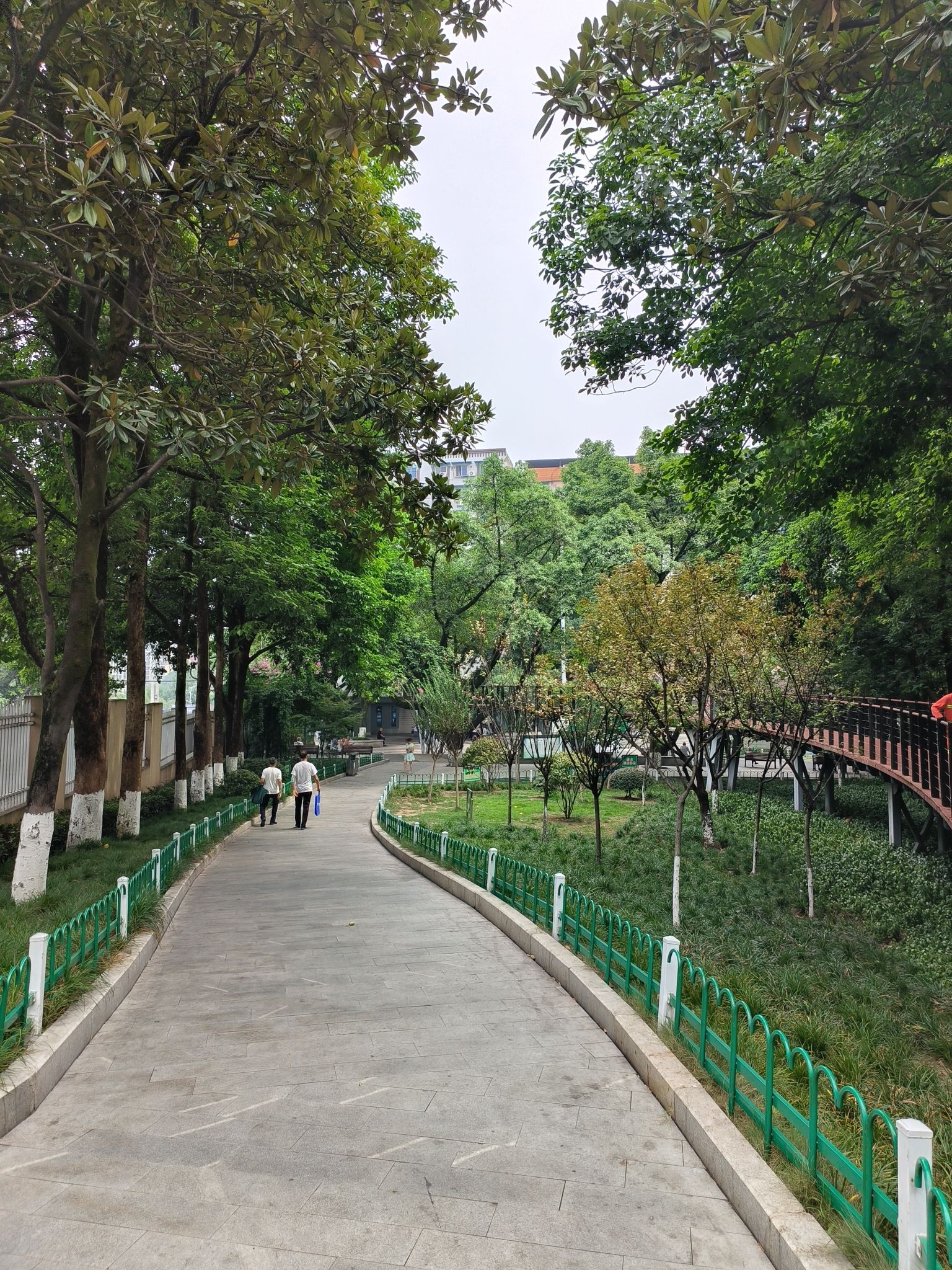五星园旅行图片 2