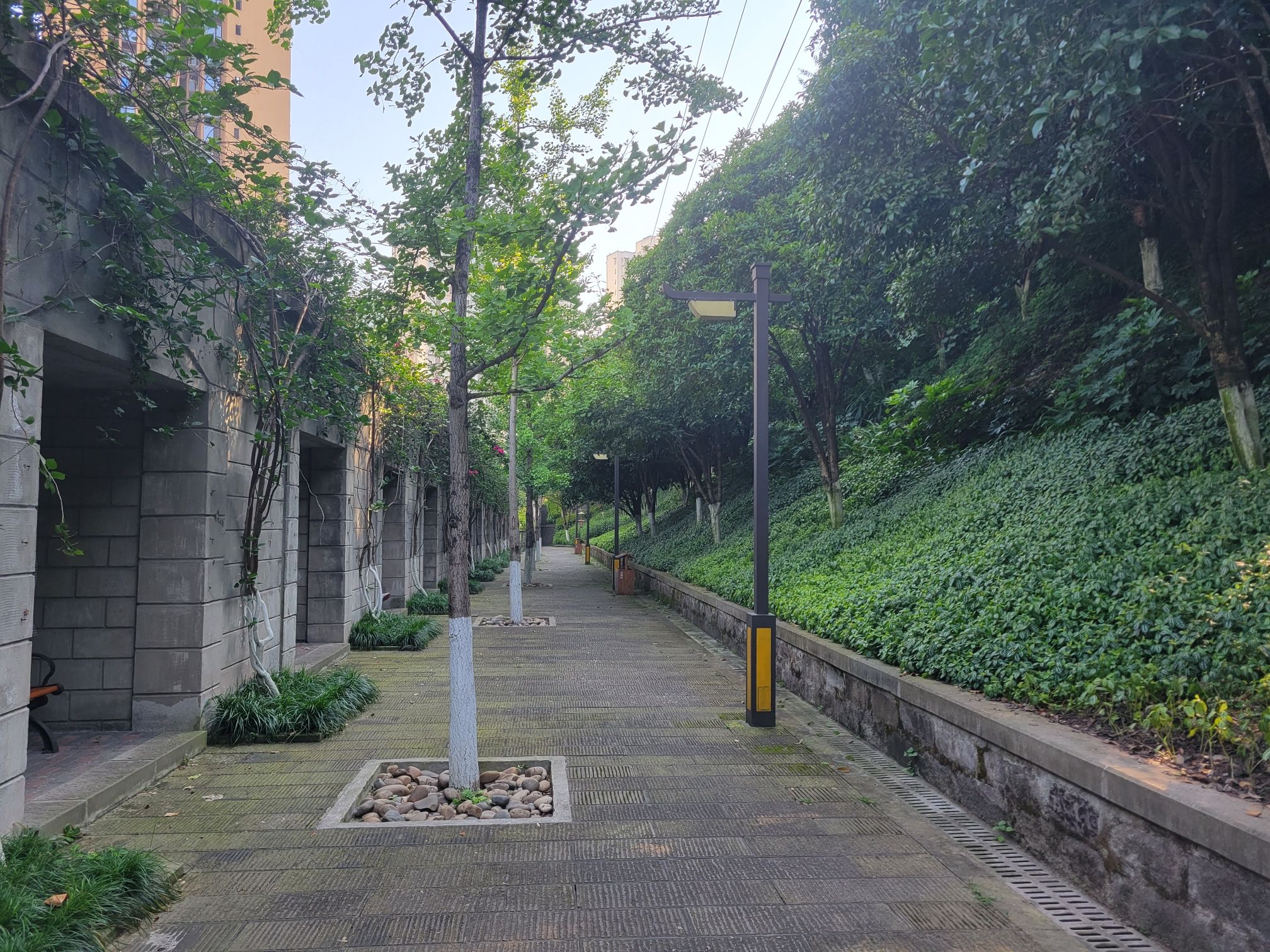绿壁公园旅行图片 3