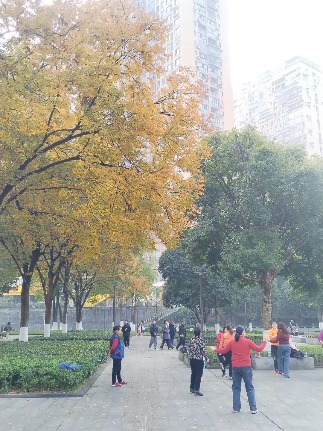 绿壁公园旅行图片 3
