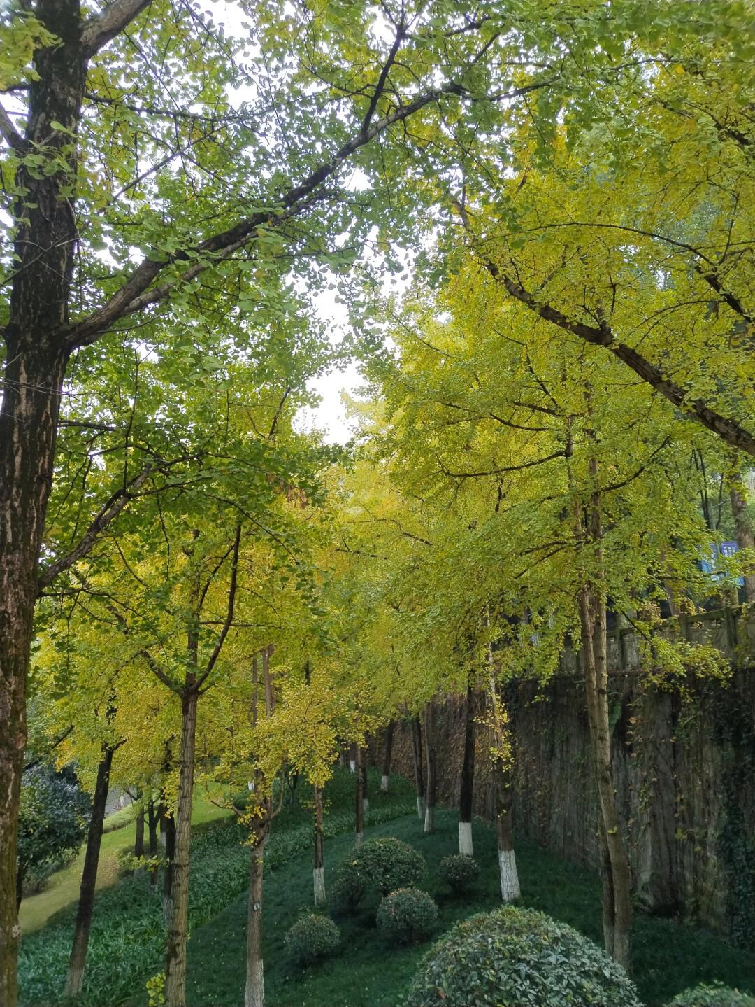 绿壁公园旅行图片 2
