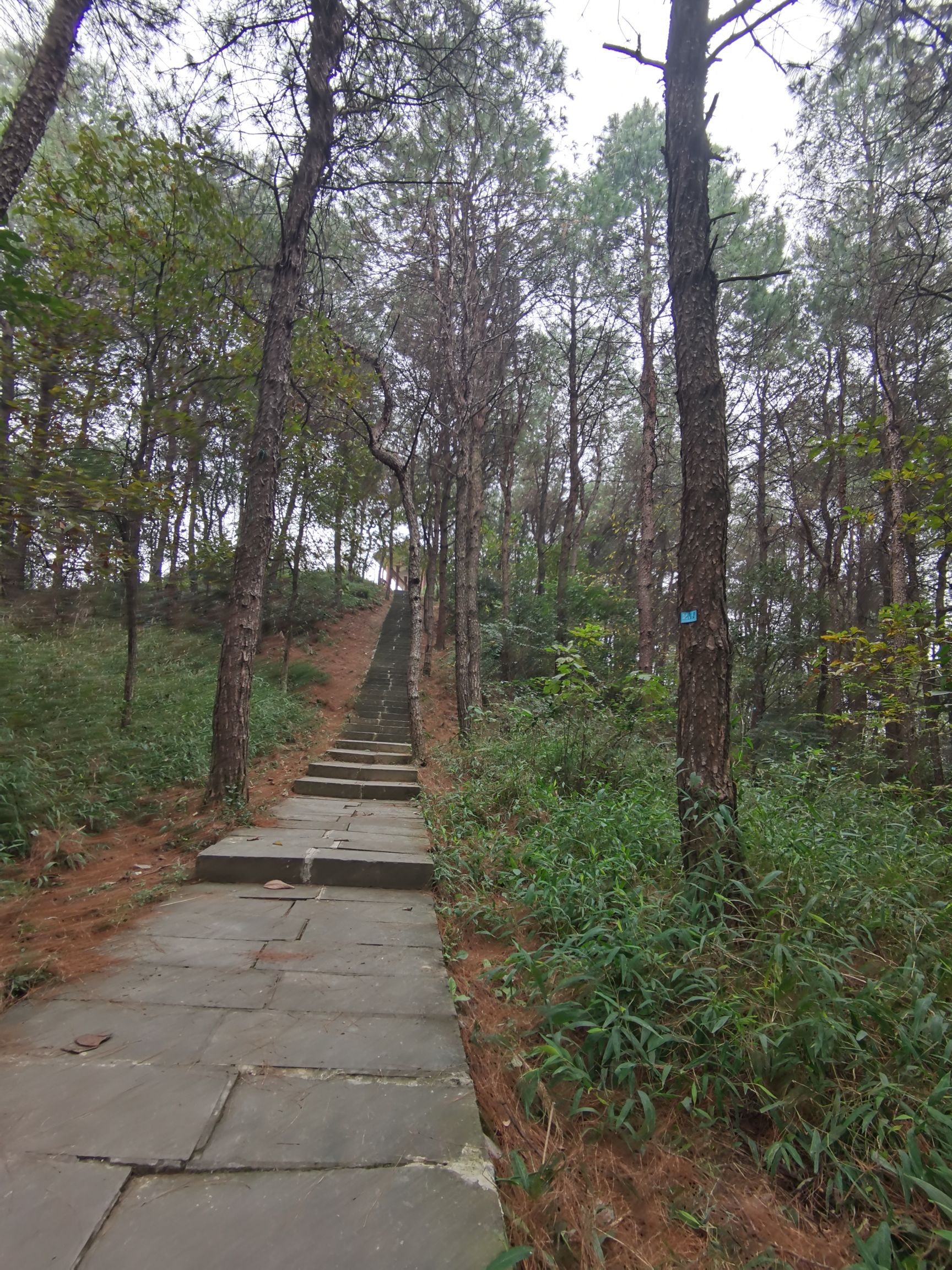 尖刀山森林公园-全民健身登山步道