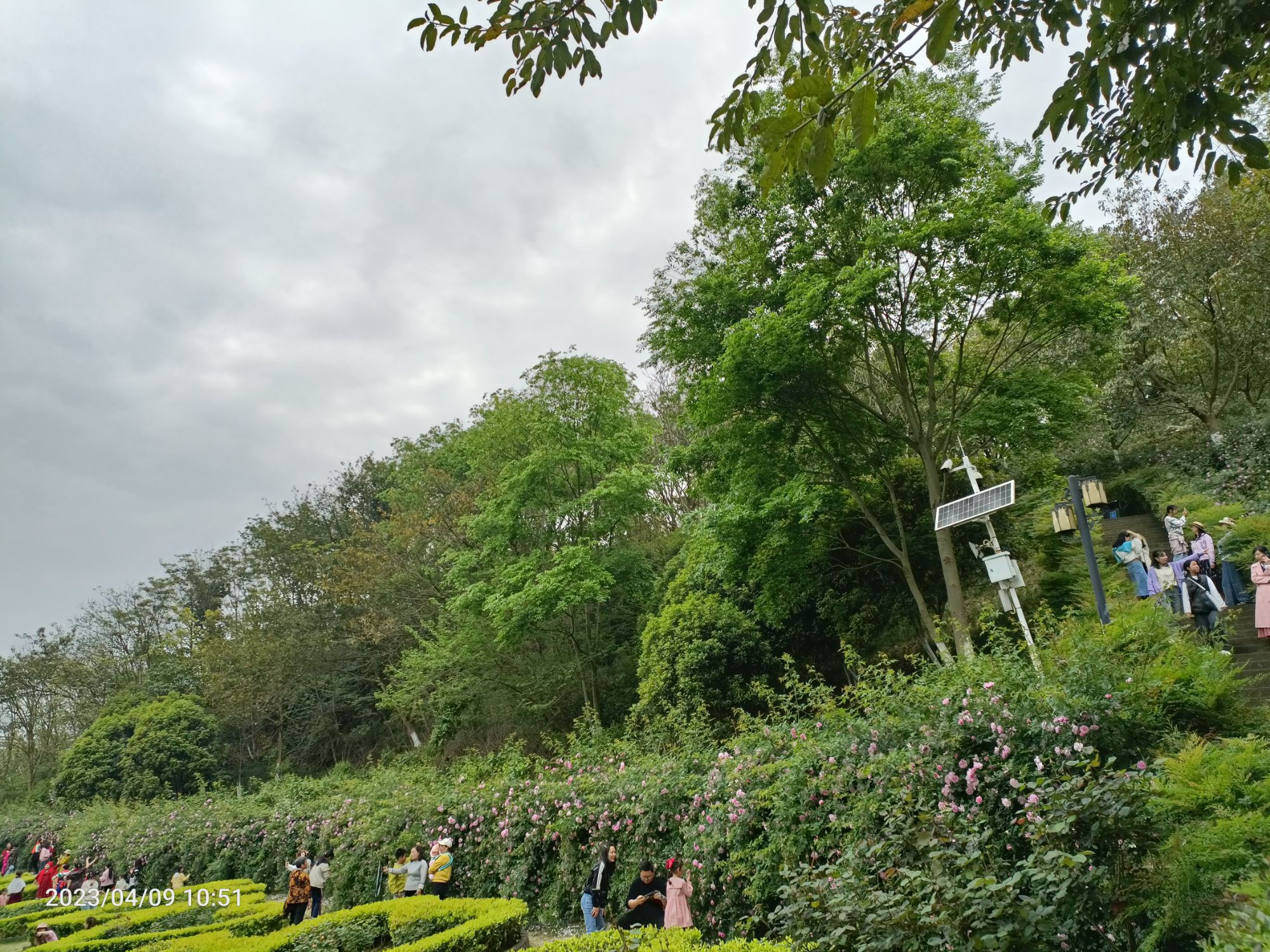 南山公园旅行图片 3