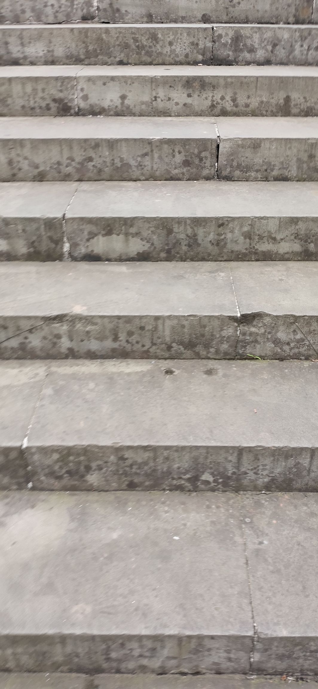 南山公园旅行图片 3