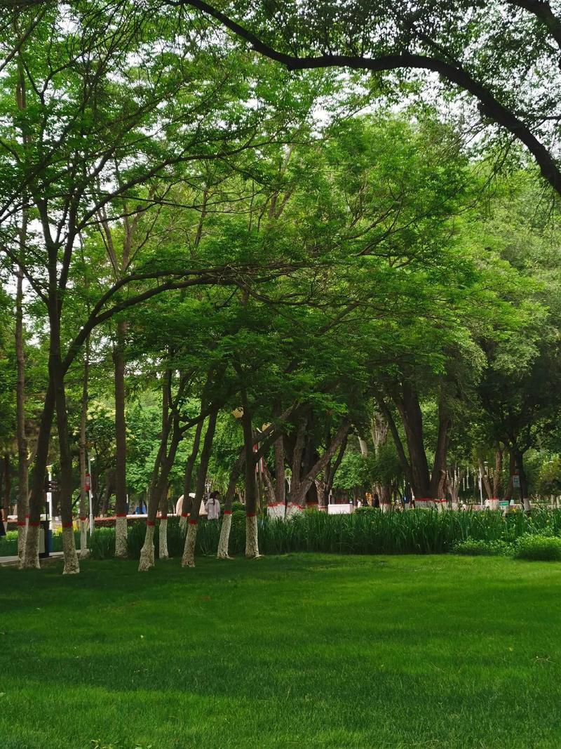 马鞍山生态公园旅行图片 1