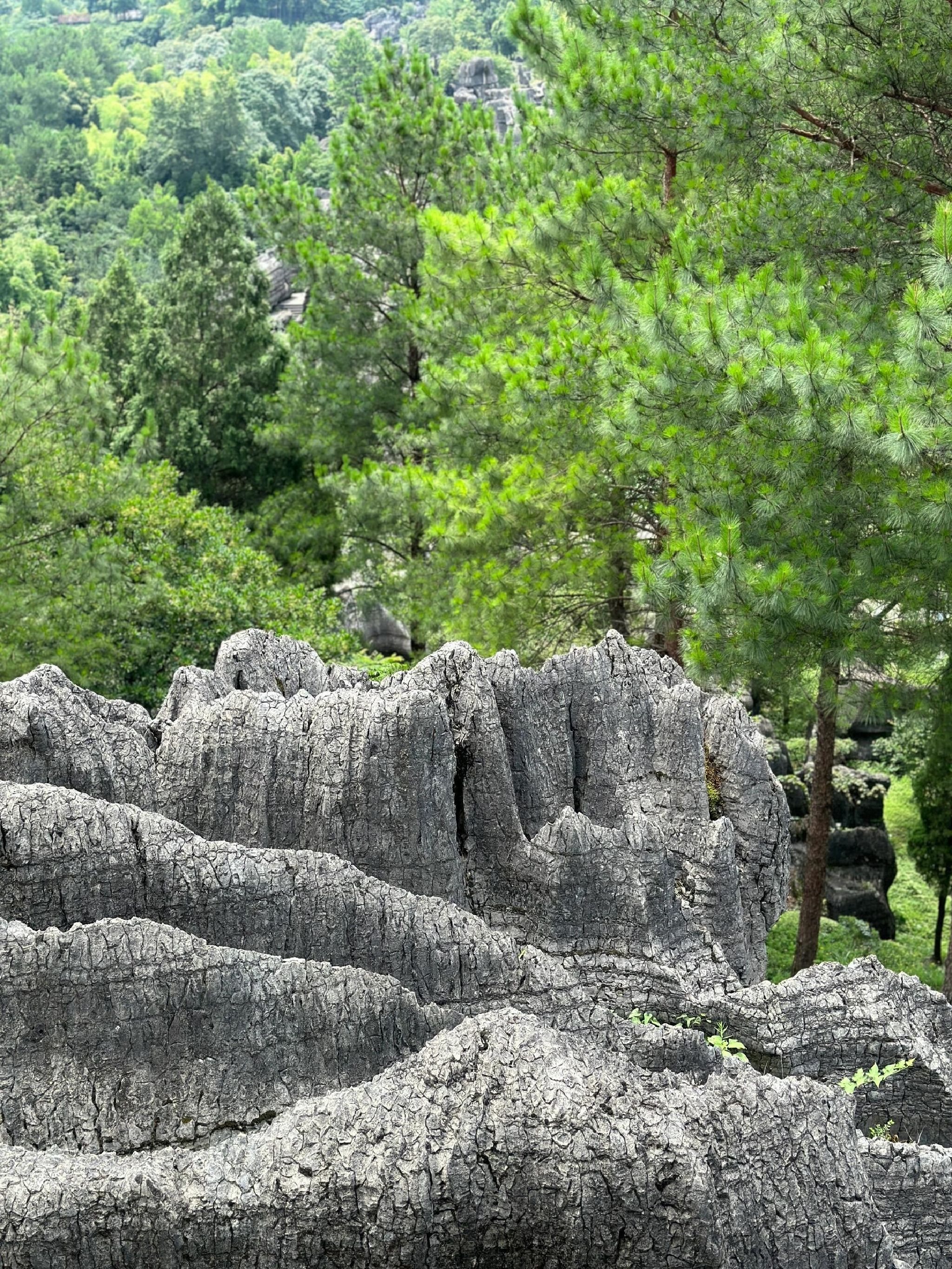 万盛国家地质公园旅行图片 1