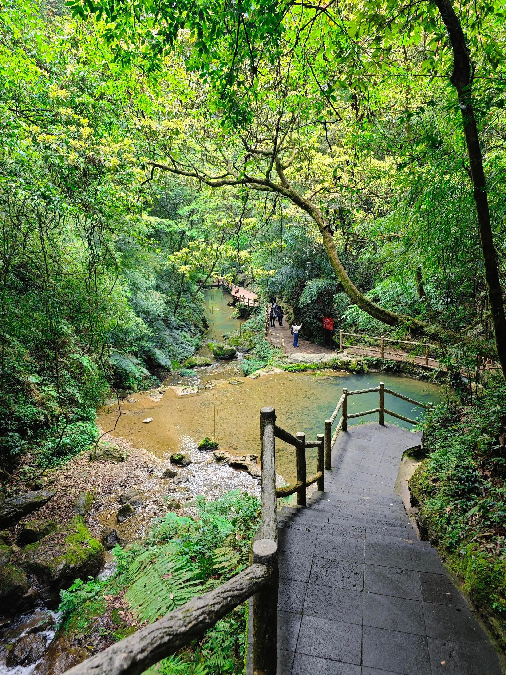 万盛国家地质公园旅行图片 1