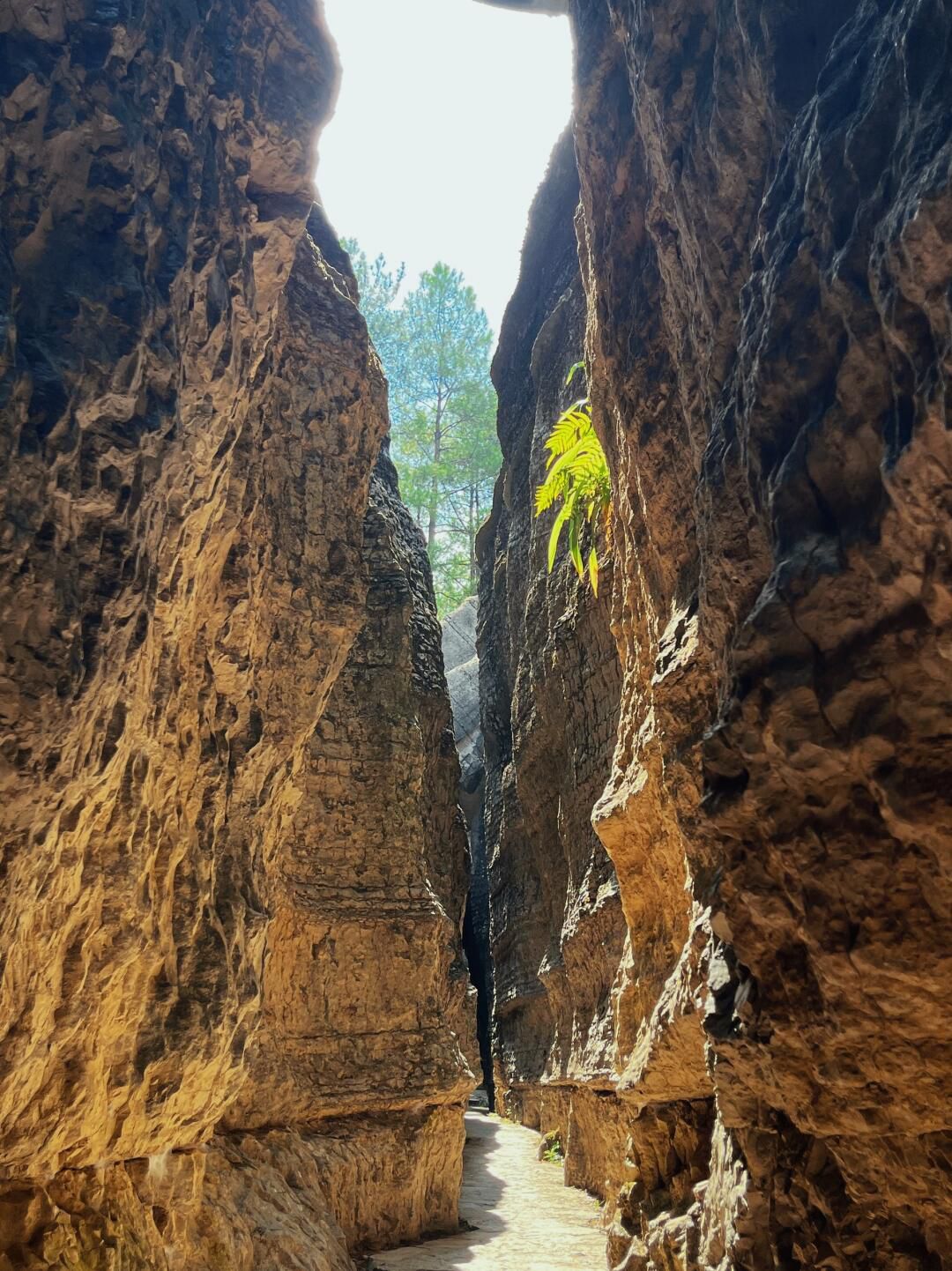 万盛国家地质公园旅行图片 1