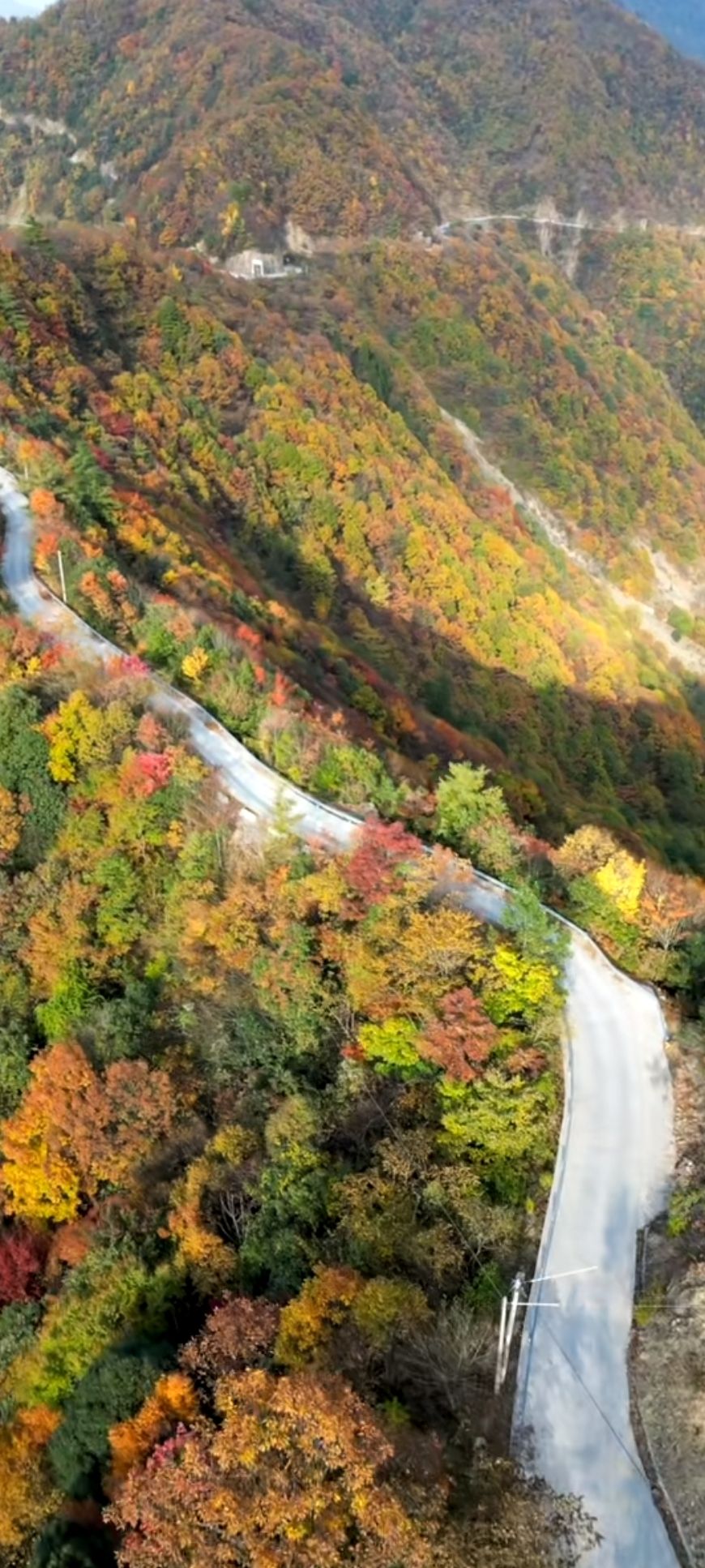 红池坝风景区旅行图片 2