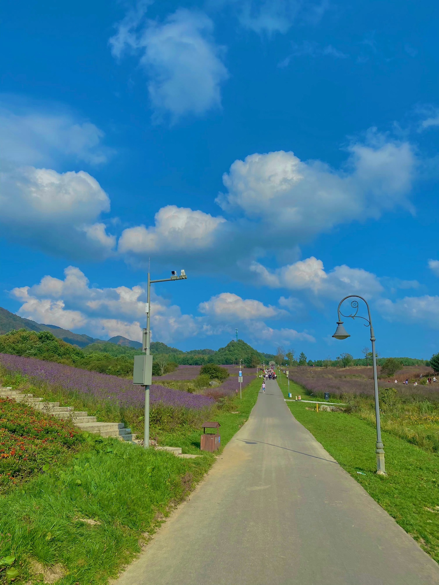 红池坝风景区旅行图片 2