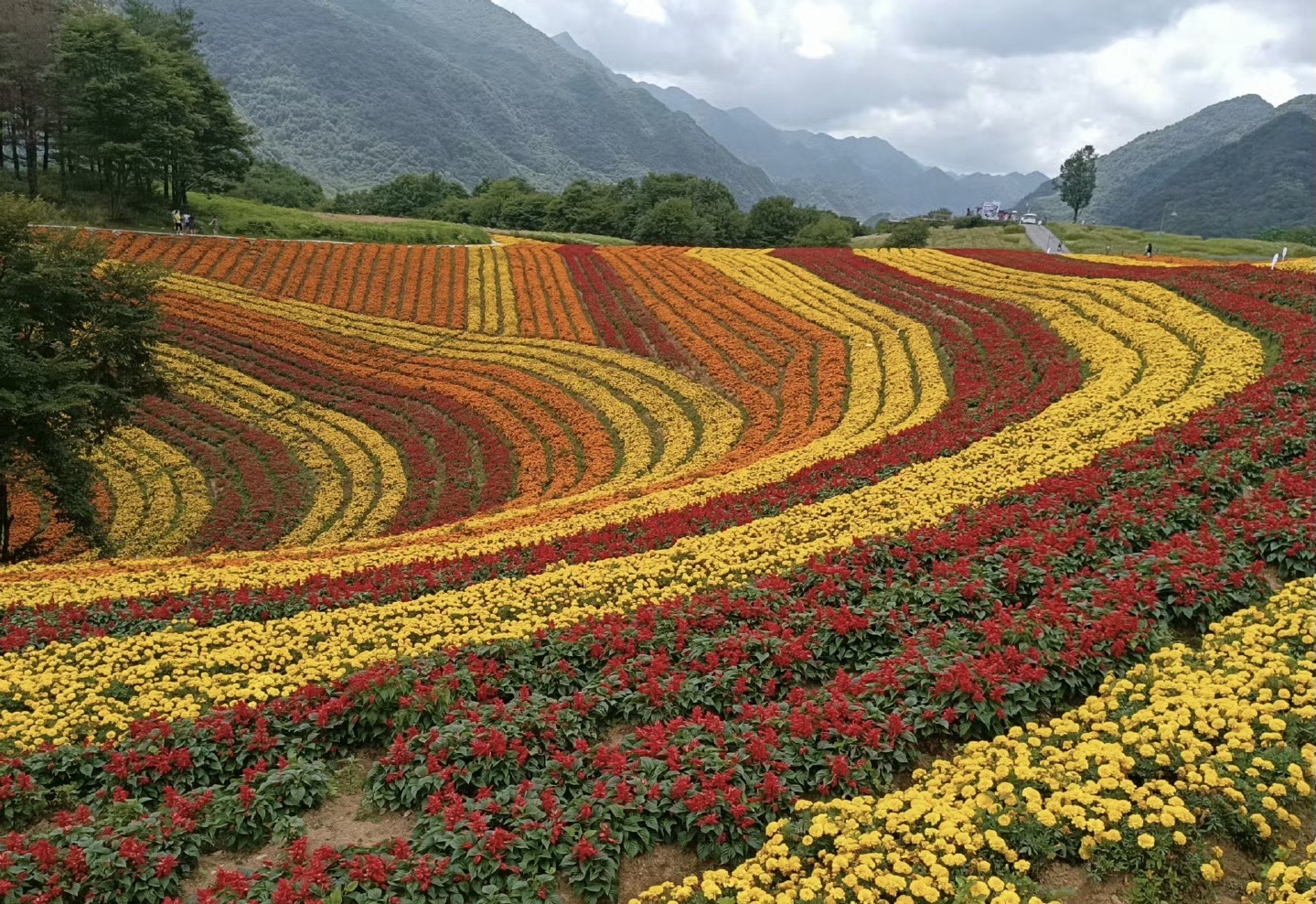 红池坝风景区旅行图片 1