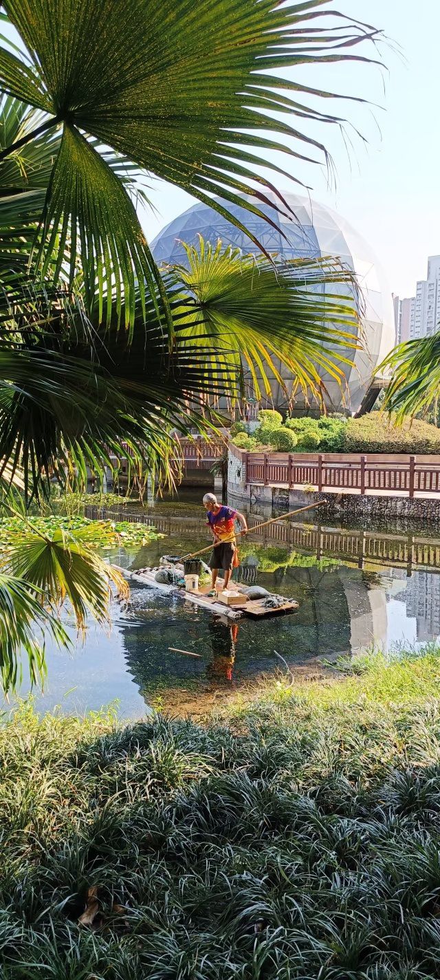 重庆永川中央公园旅行图片 1