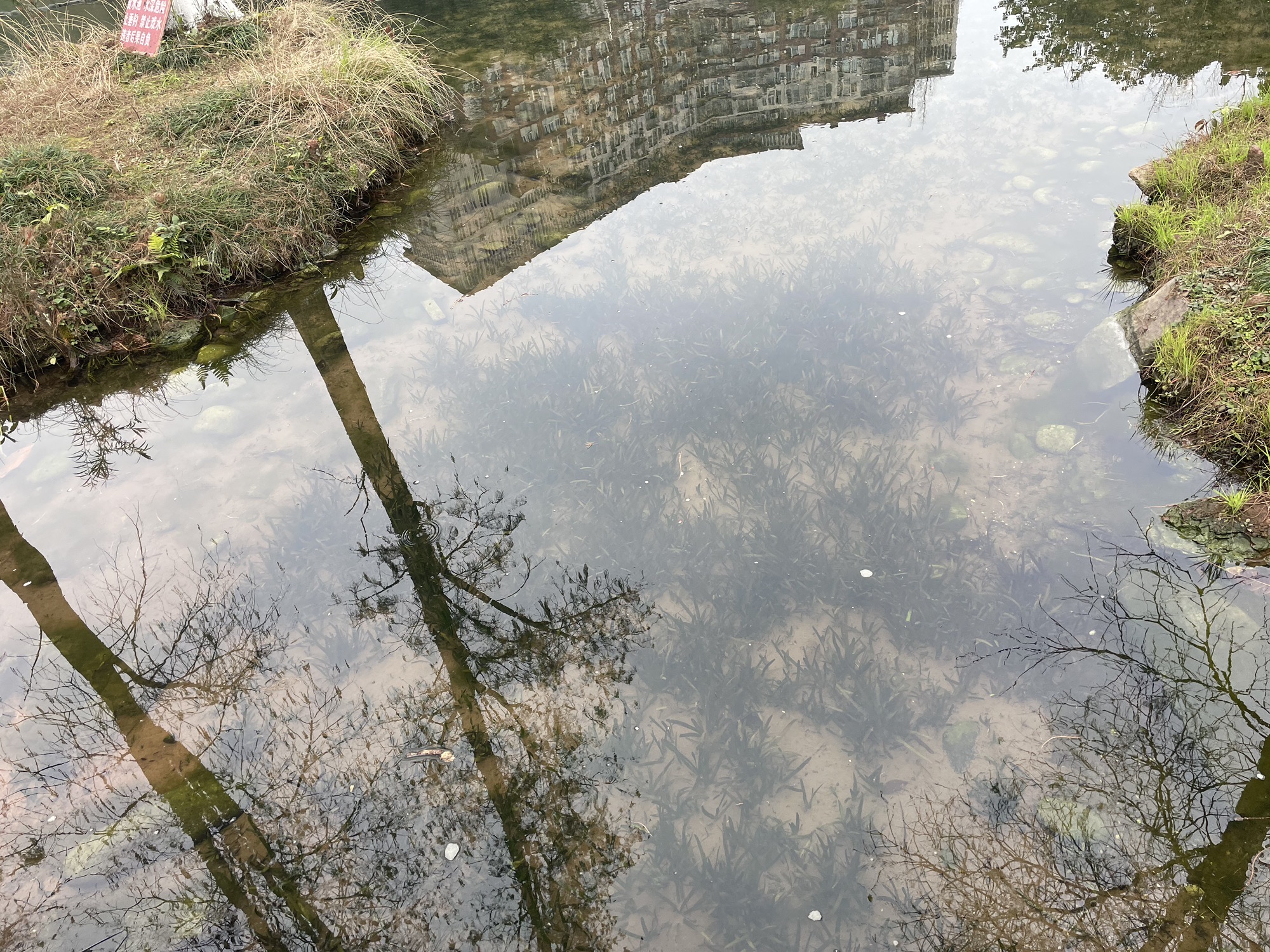 重庆永川中央公园旅行图片 2
