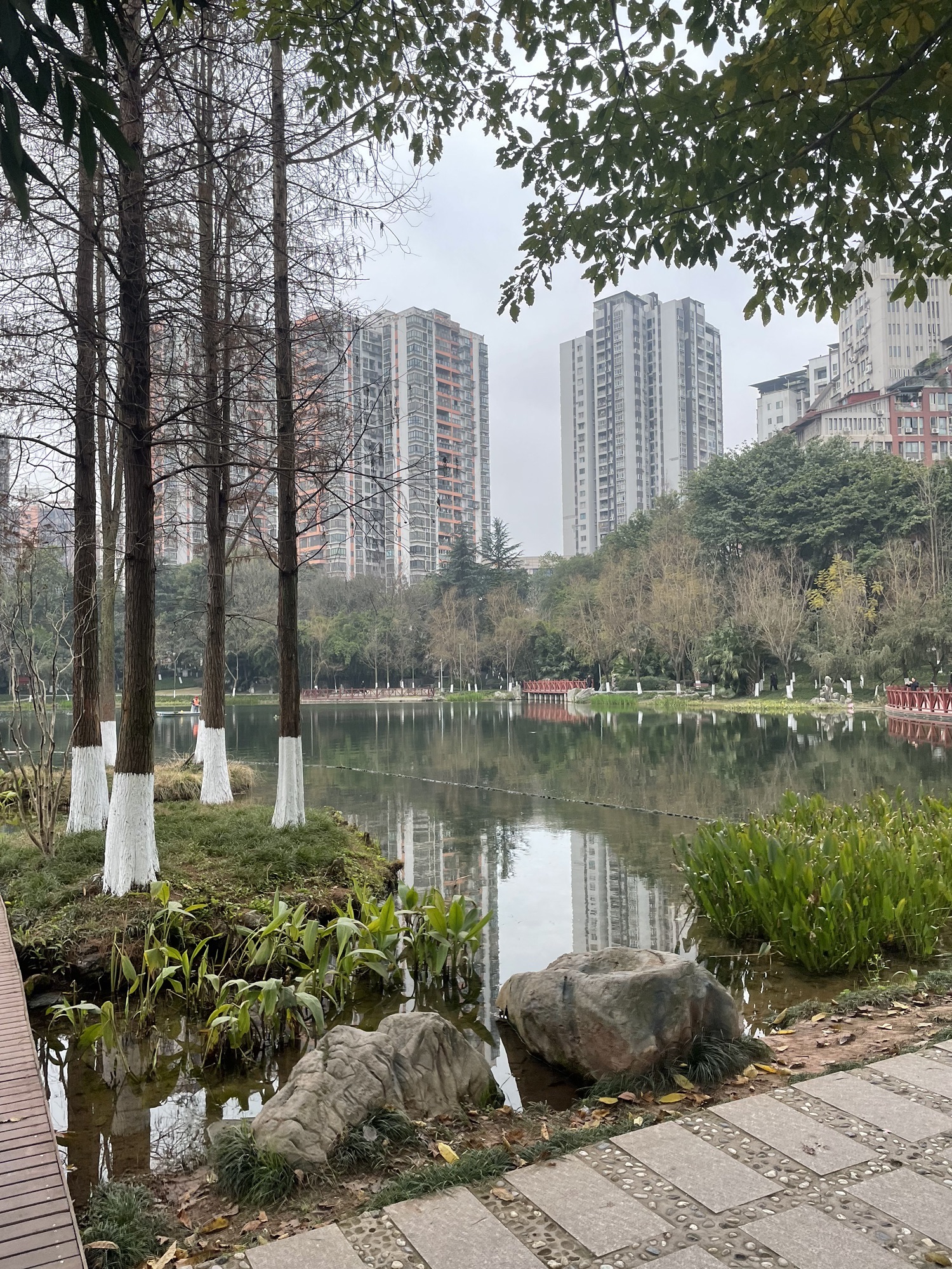 重庆永川中央公园旅行图片 3