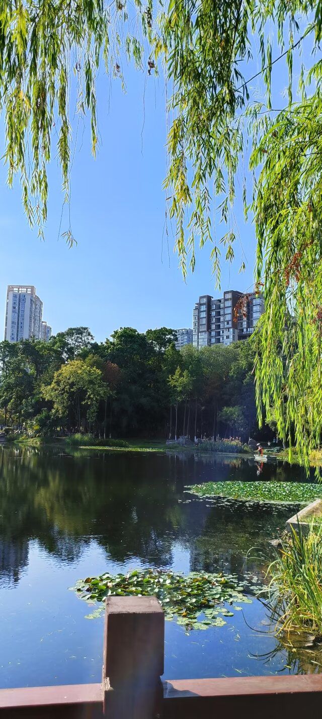 重庆永川中央公园旅行图片 2