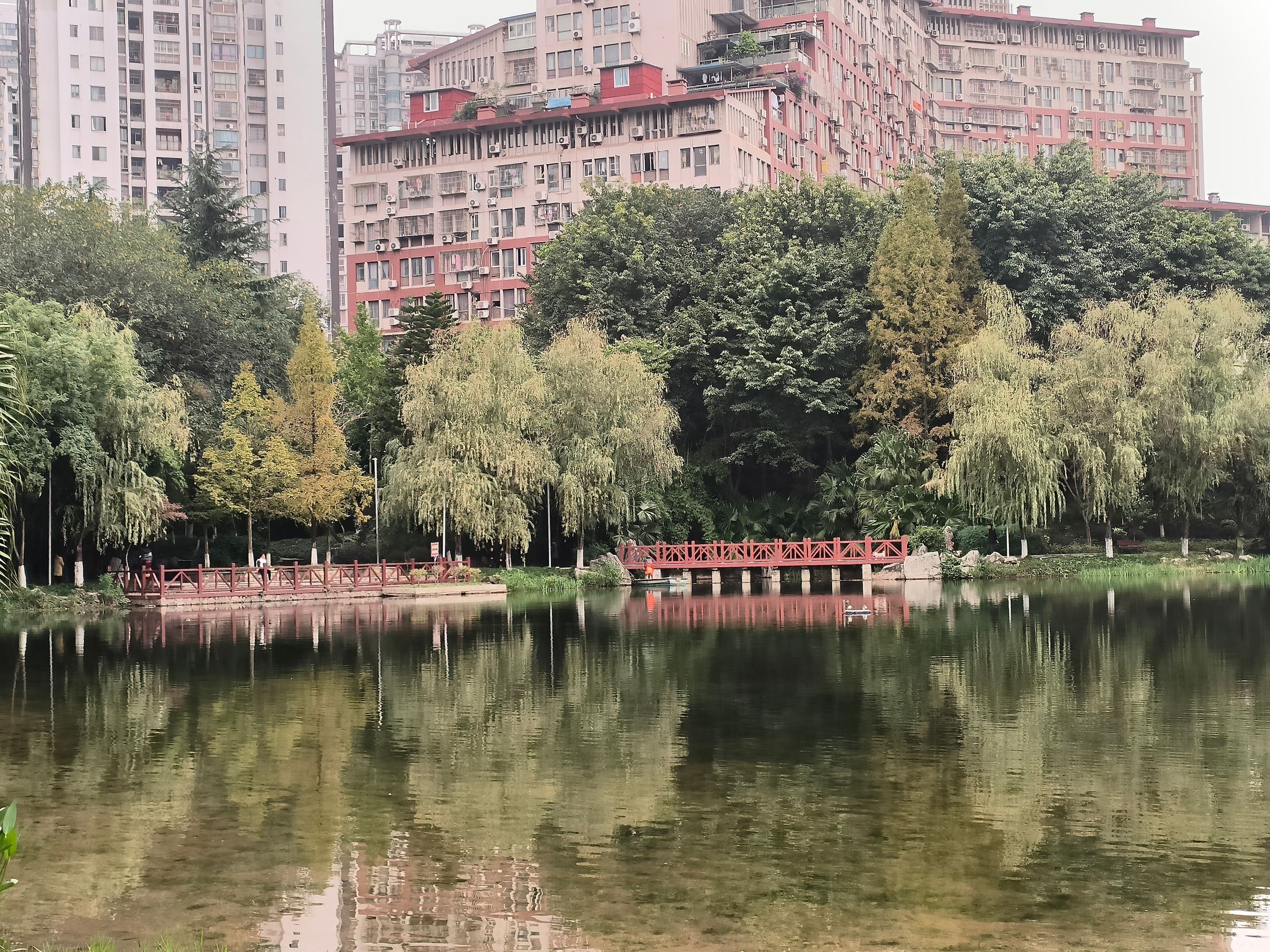 重庆永川中央公园旅行图片 1