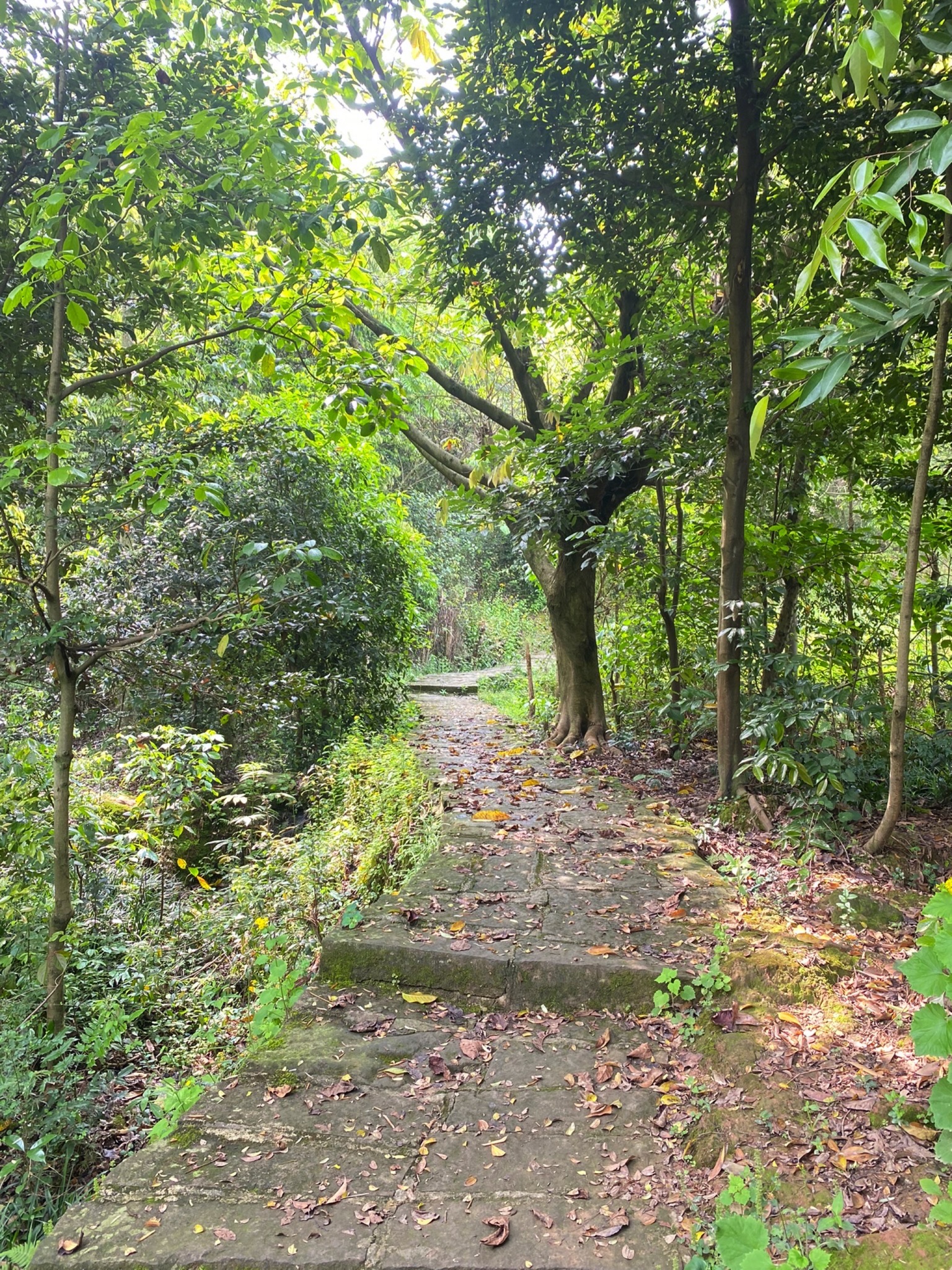 虎峰山景区旅行图片 3