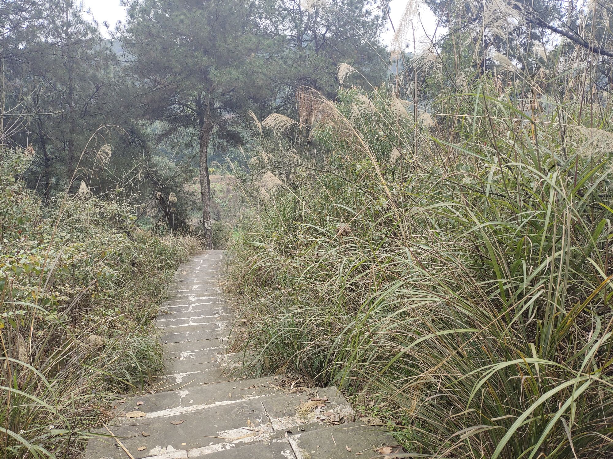 虎峰山景区旅行图片 3