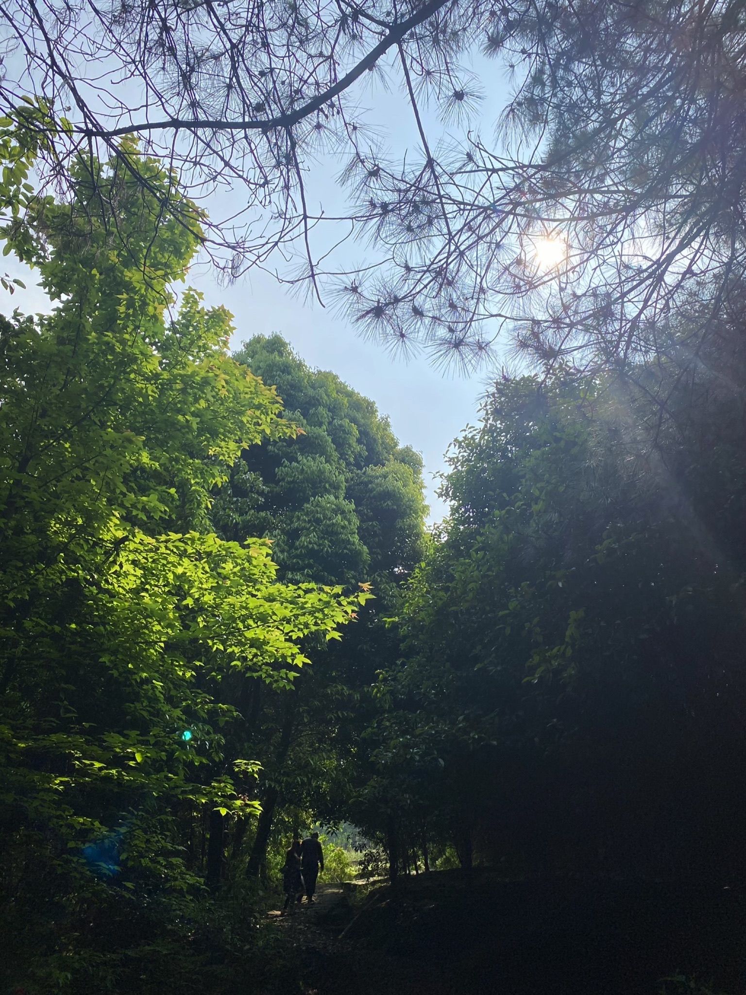 虎峰山景区旅行图片 2