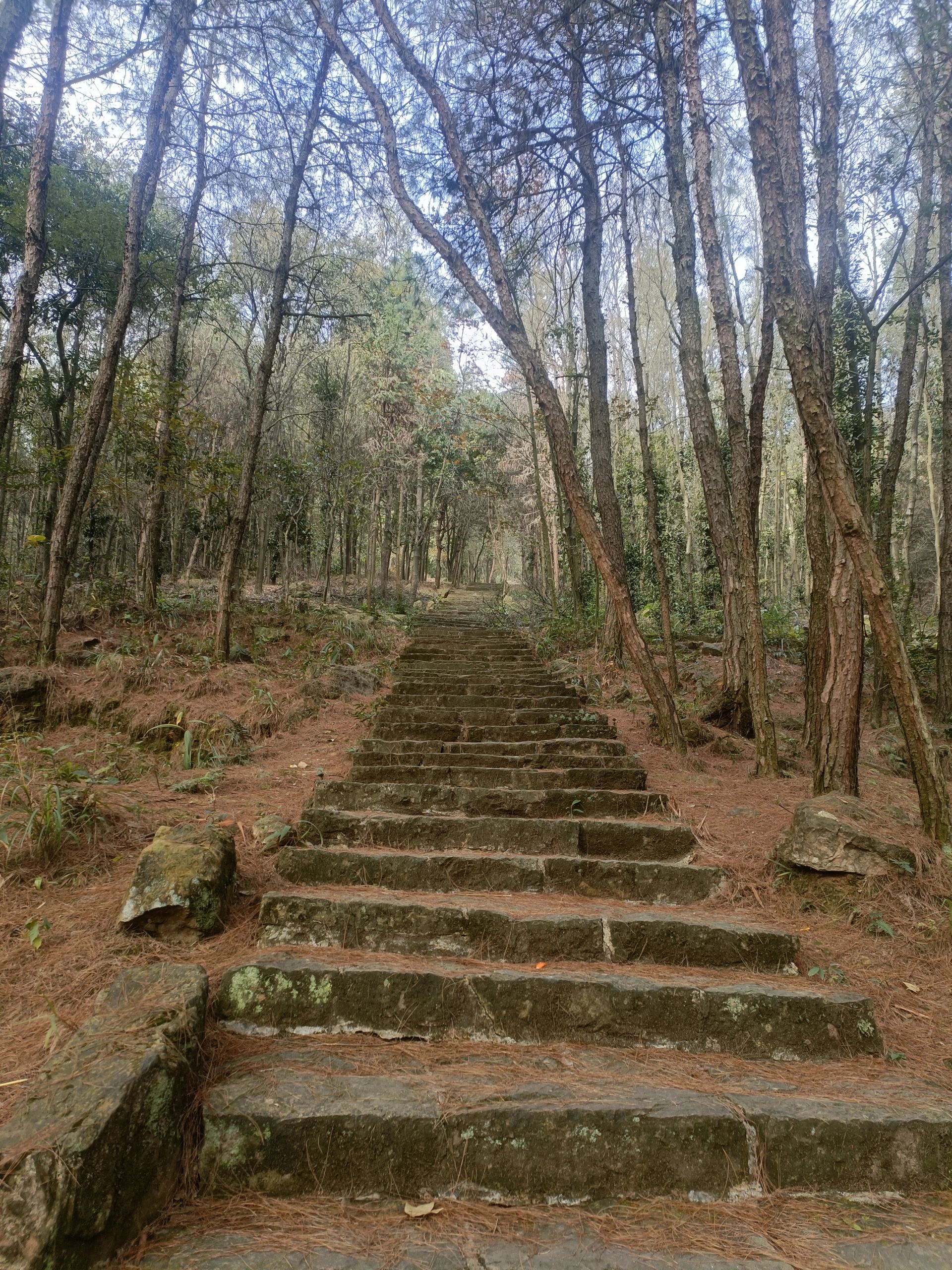 虎峰山景区旅行图片 3