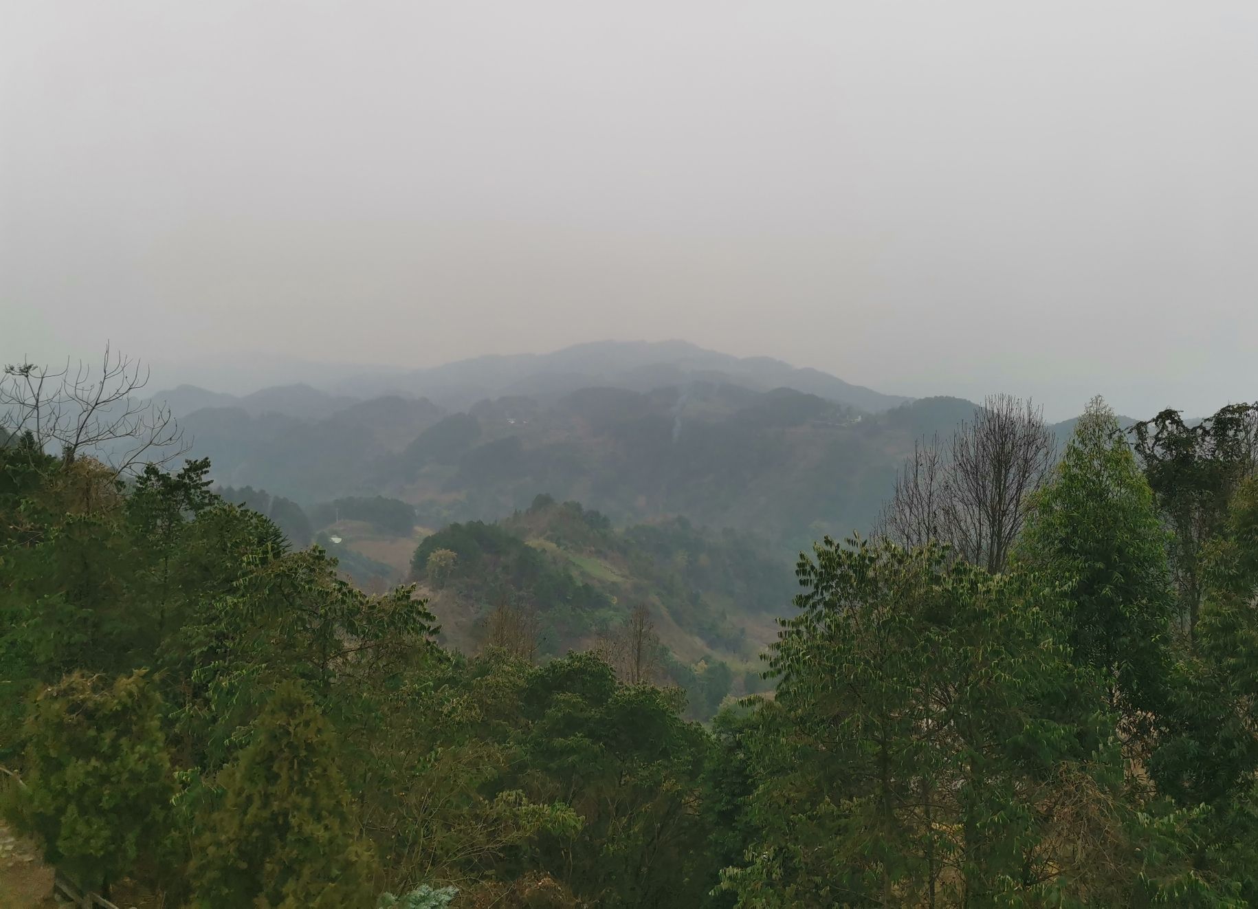 彩色森林养生旅游区旅行图片 2