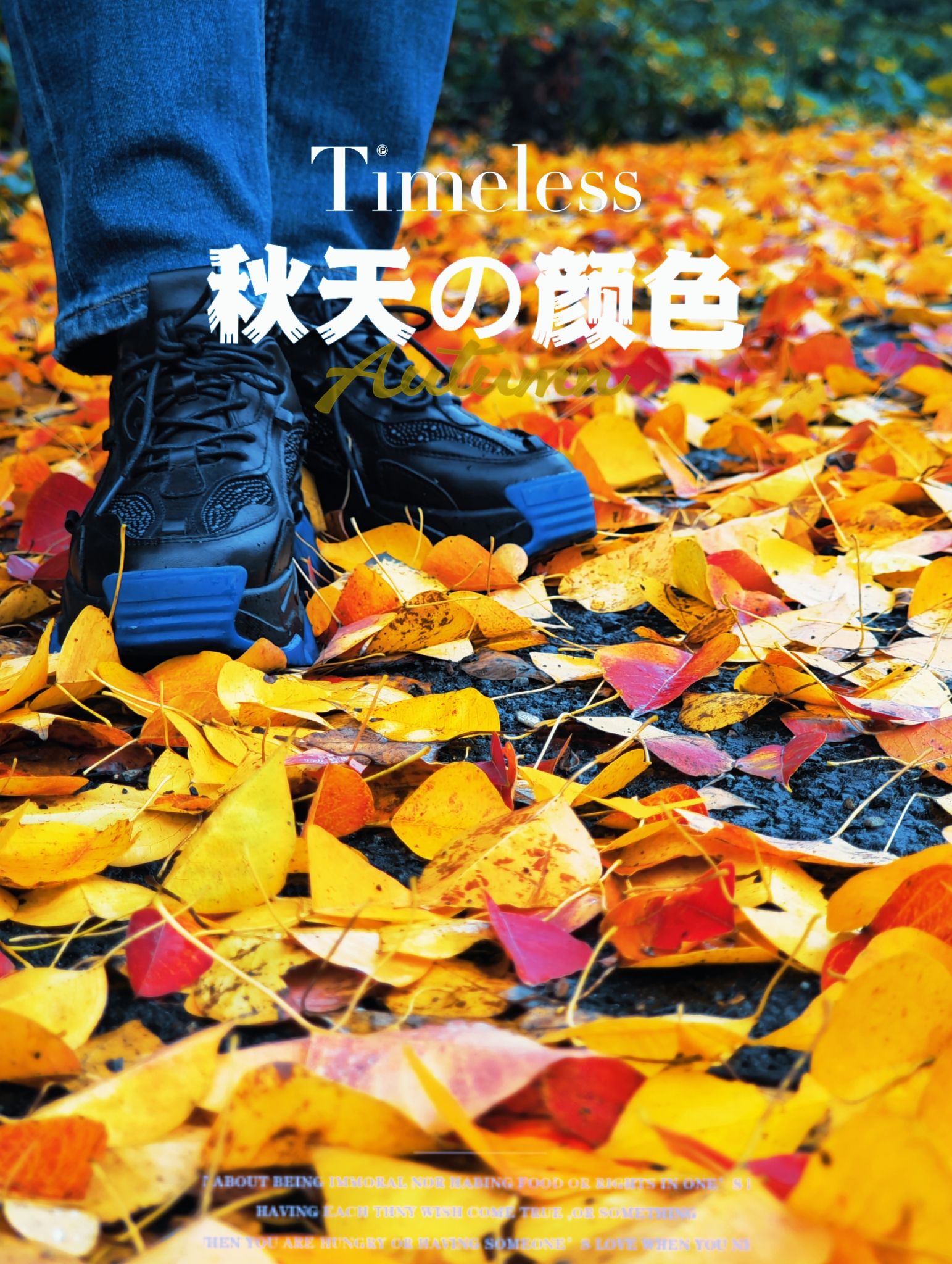 彩色森林养生旅游区旅行图片 2