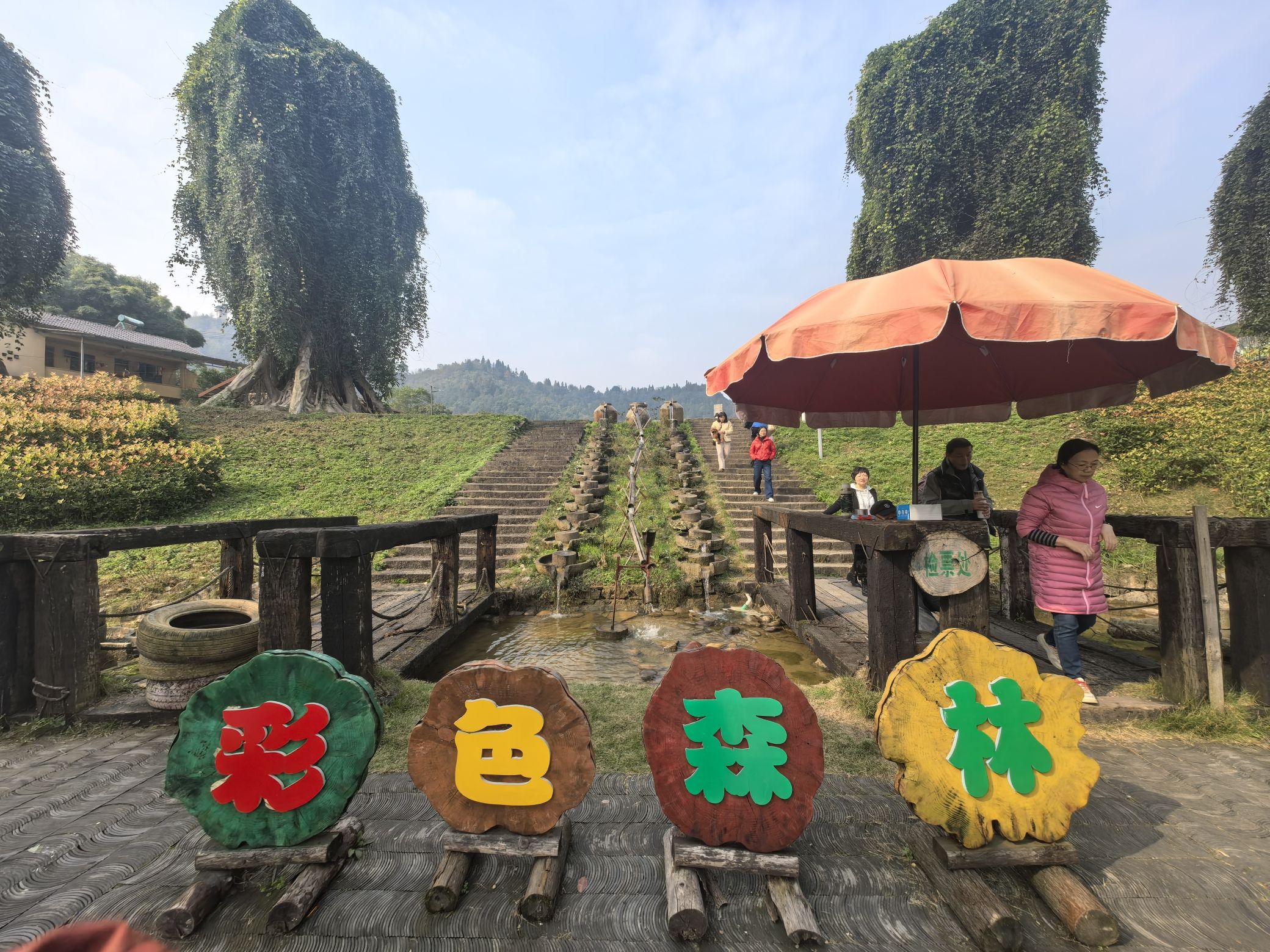 彩色森林养生旅游区旅行图片 3