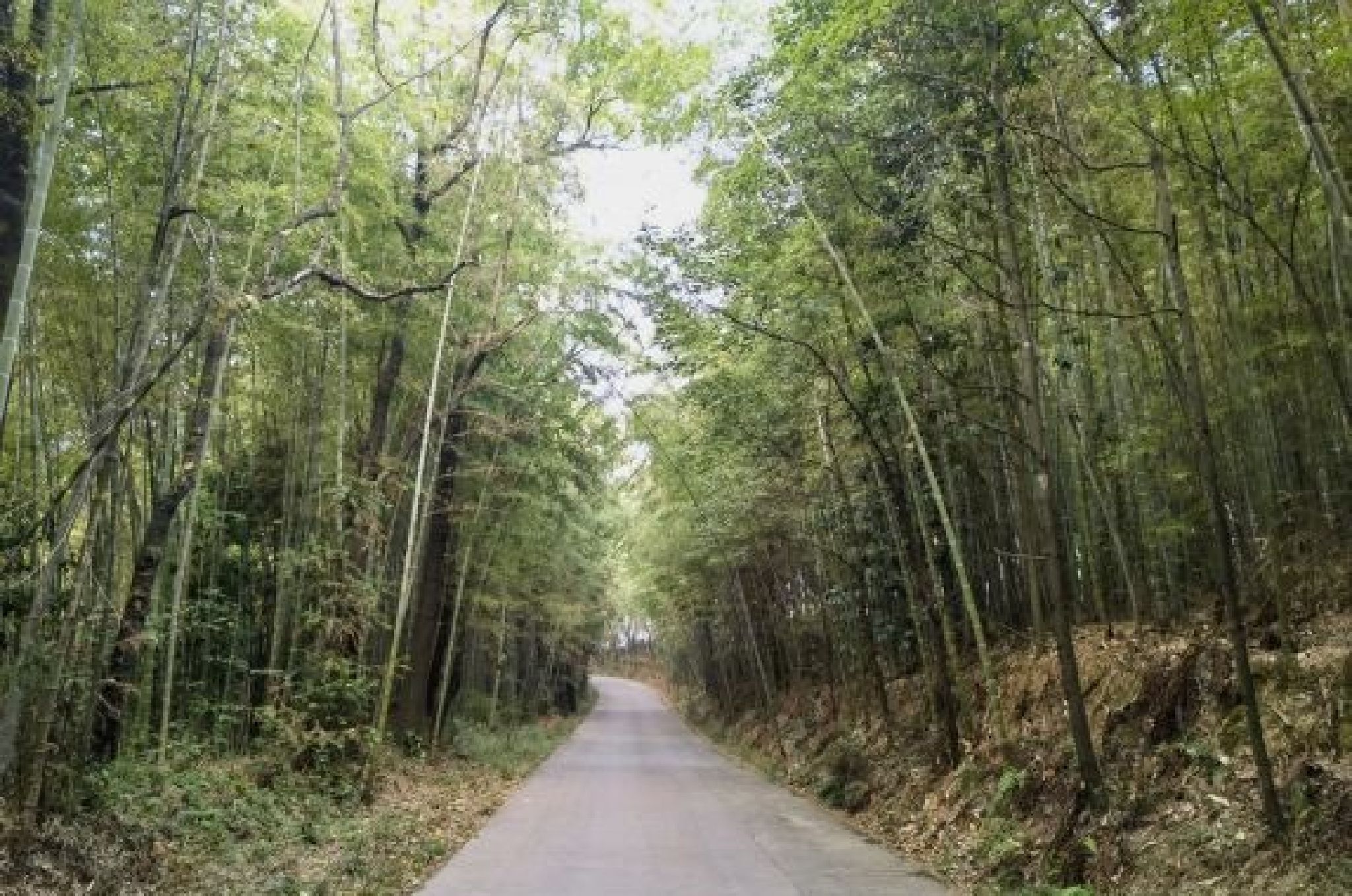 雨台山风景区旅行图片 1