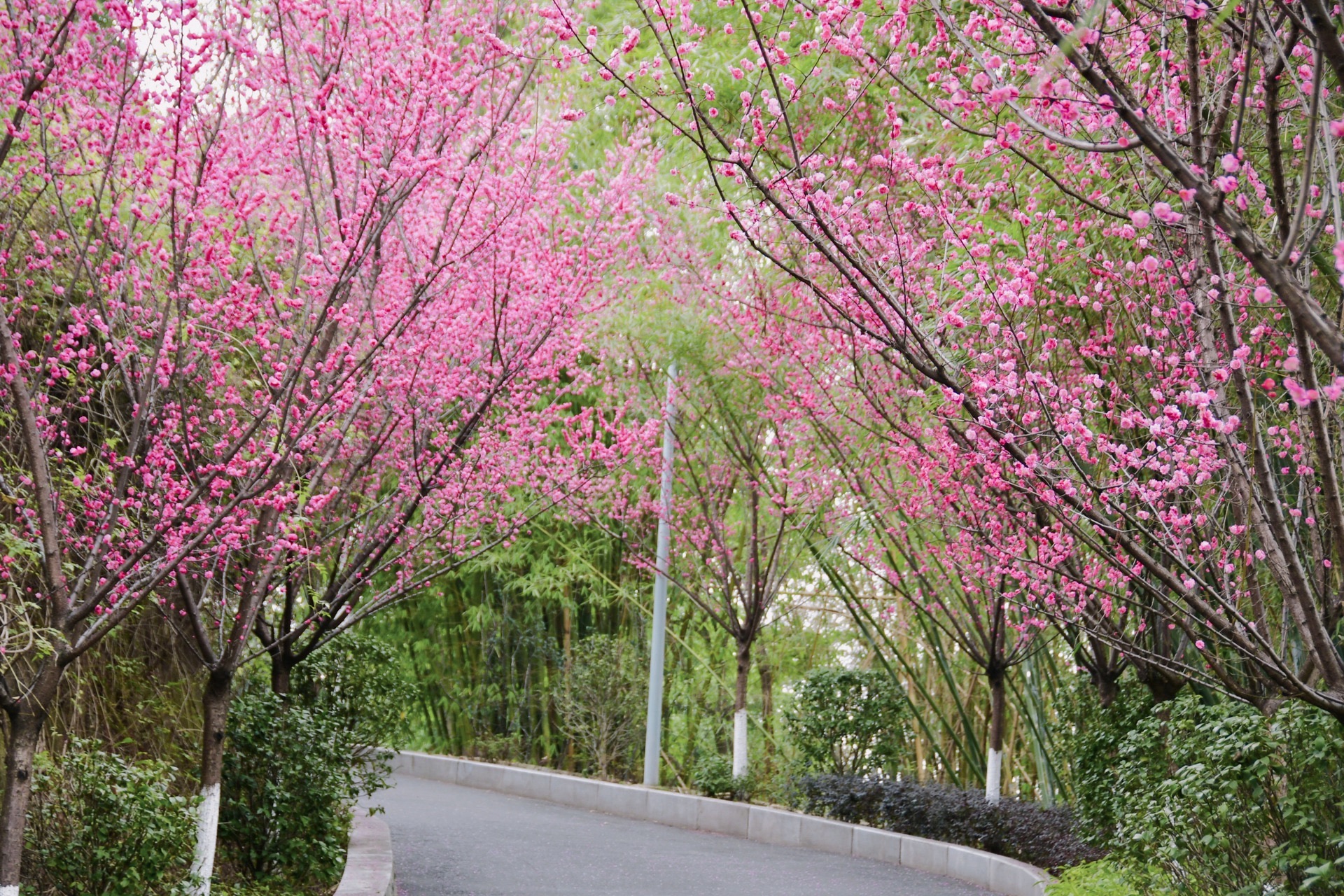 雨台山风景区旅行图片 2