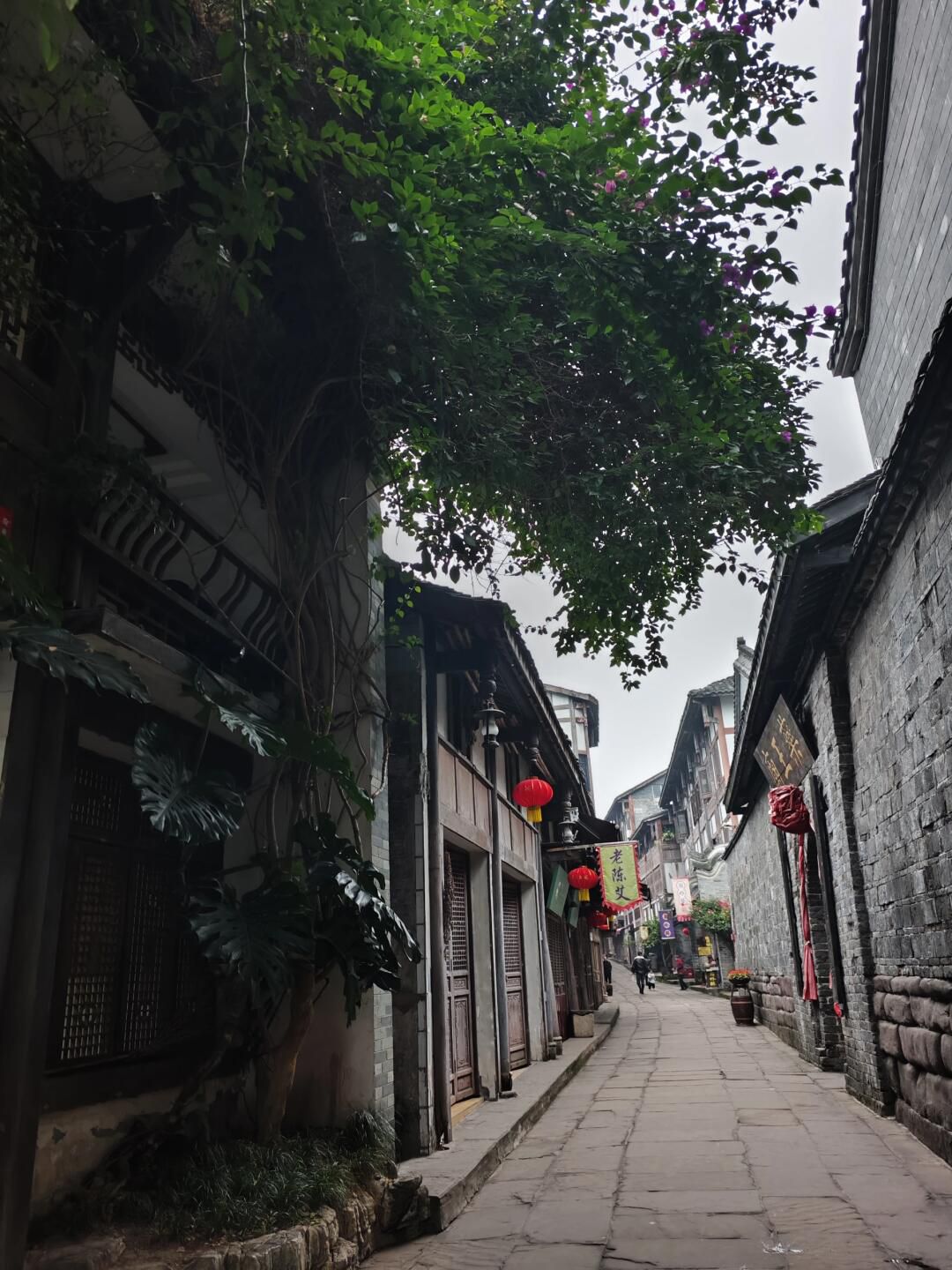 安居古城旅行图片 3