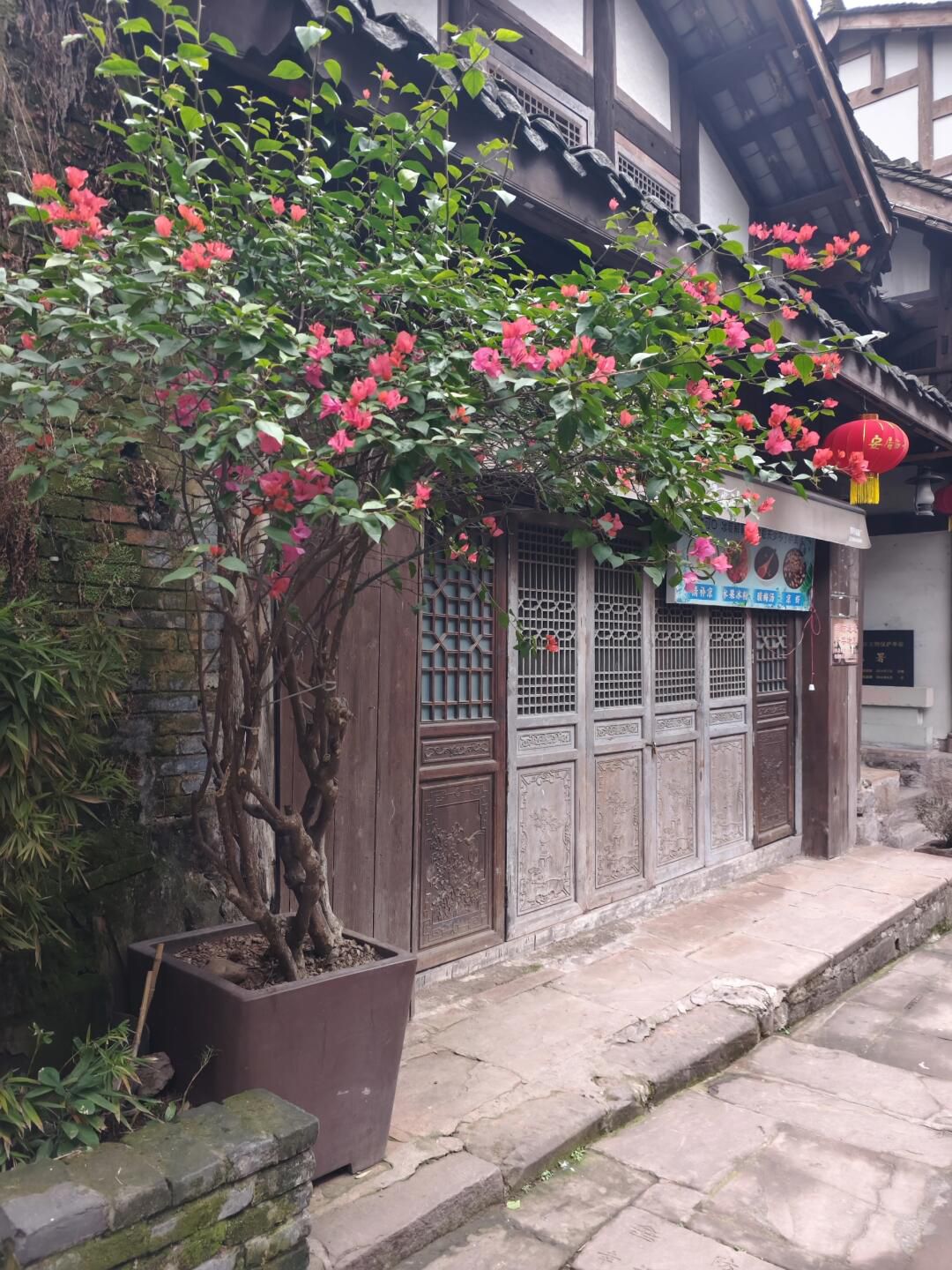 安居古城旅行图片 2