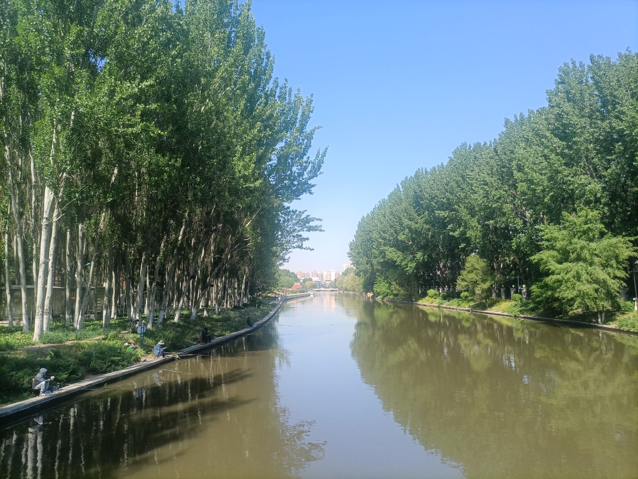 将军公园旅行图片 2