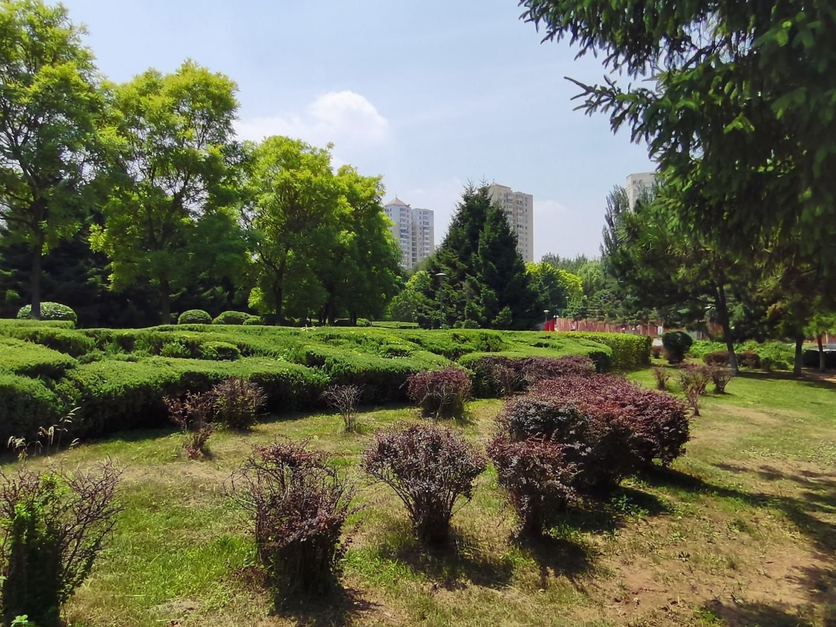 克俭公园旅行图片 1