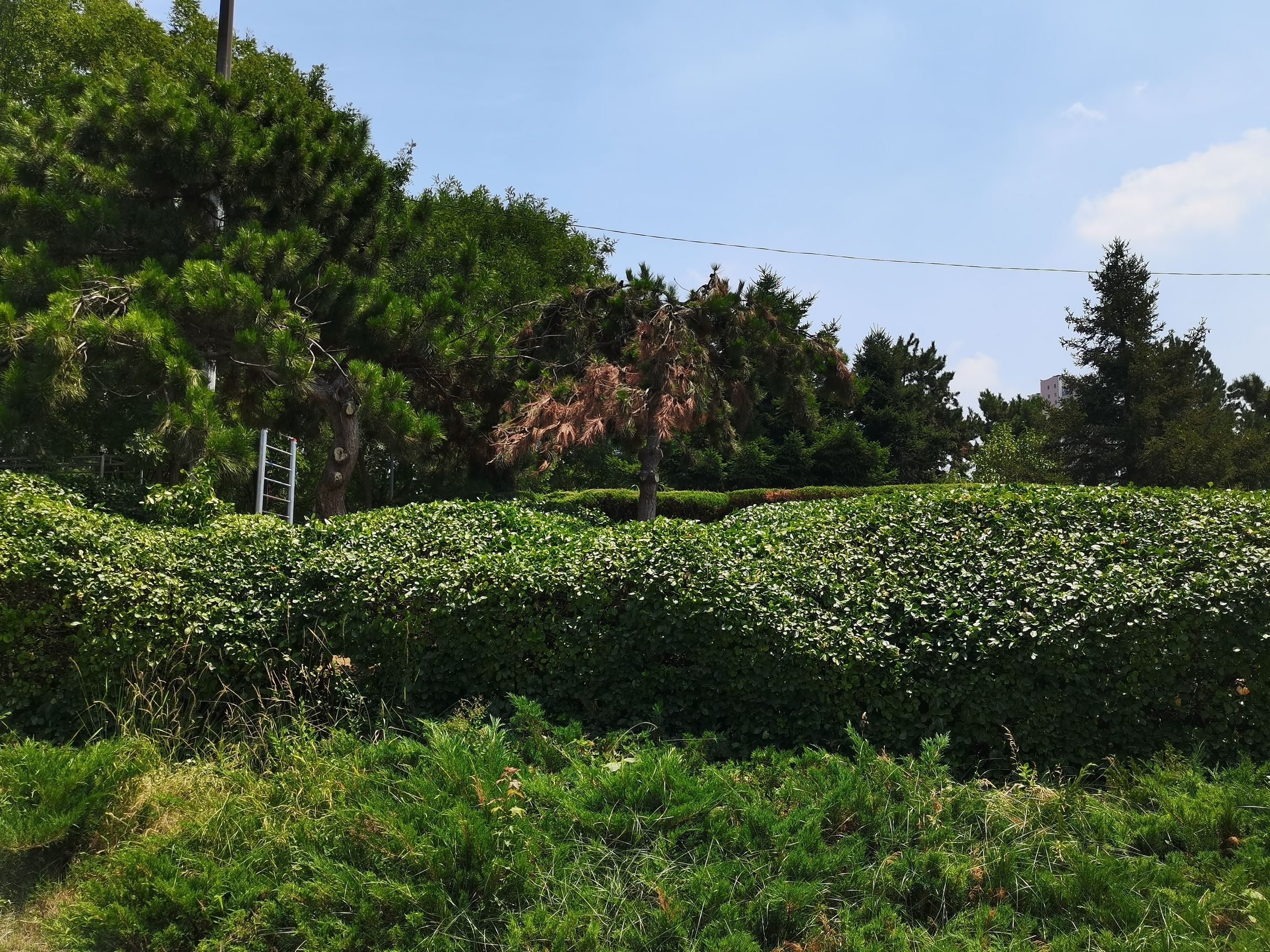 克俭公园旅行图片 3