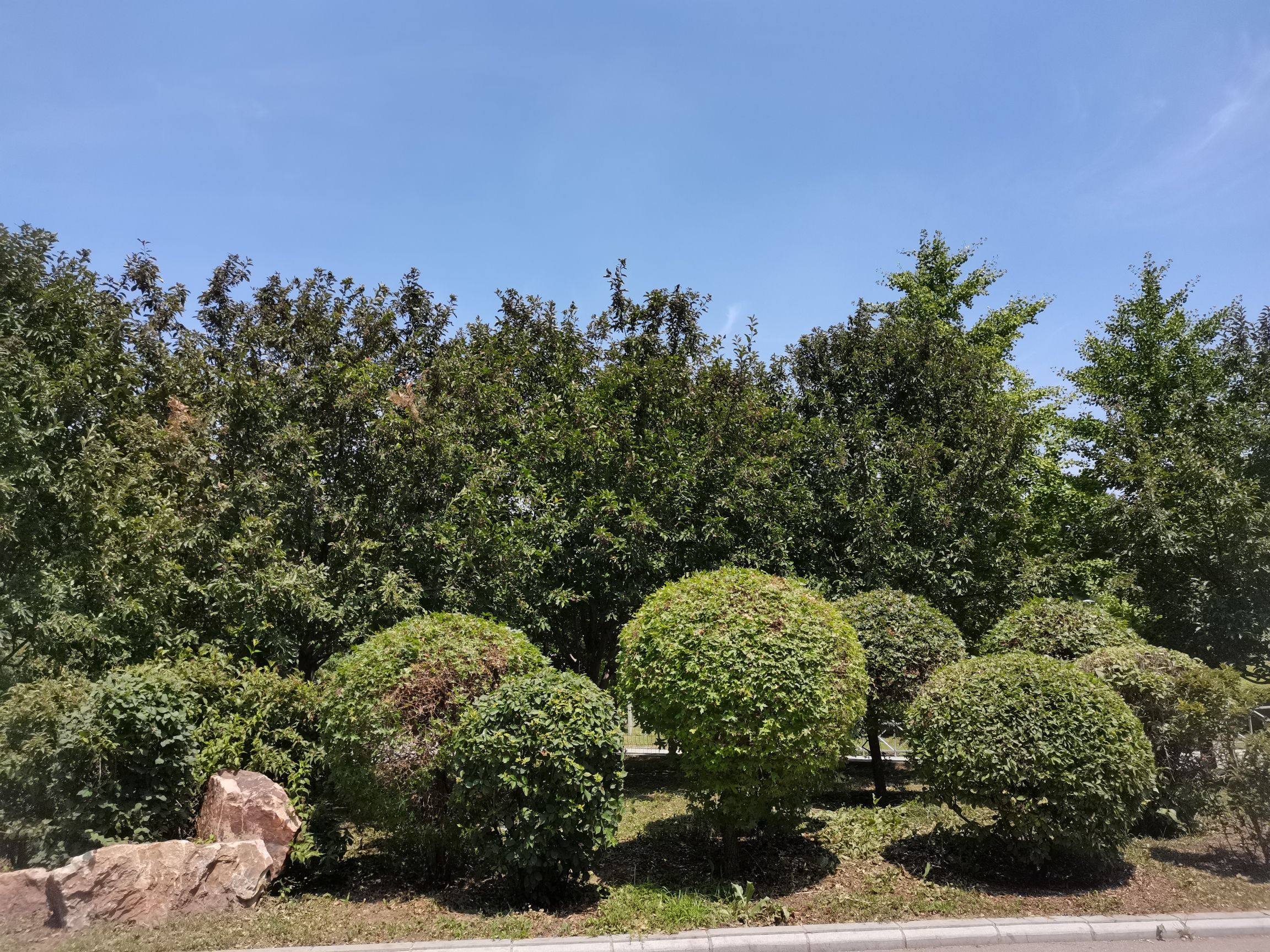 克俭公园旅行图片 2