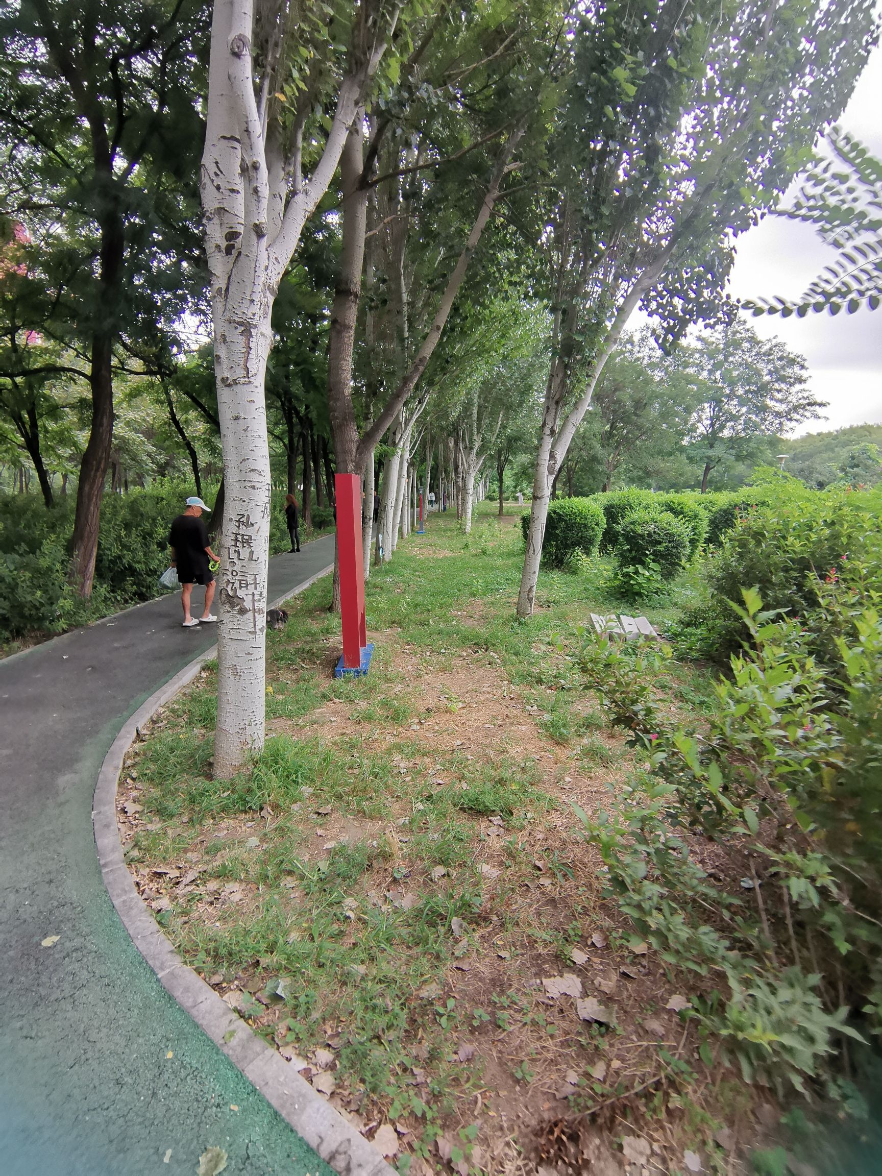 克俭公园旅行图片 2