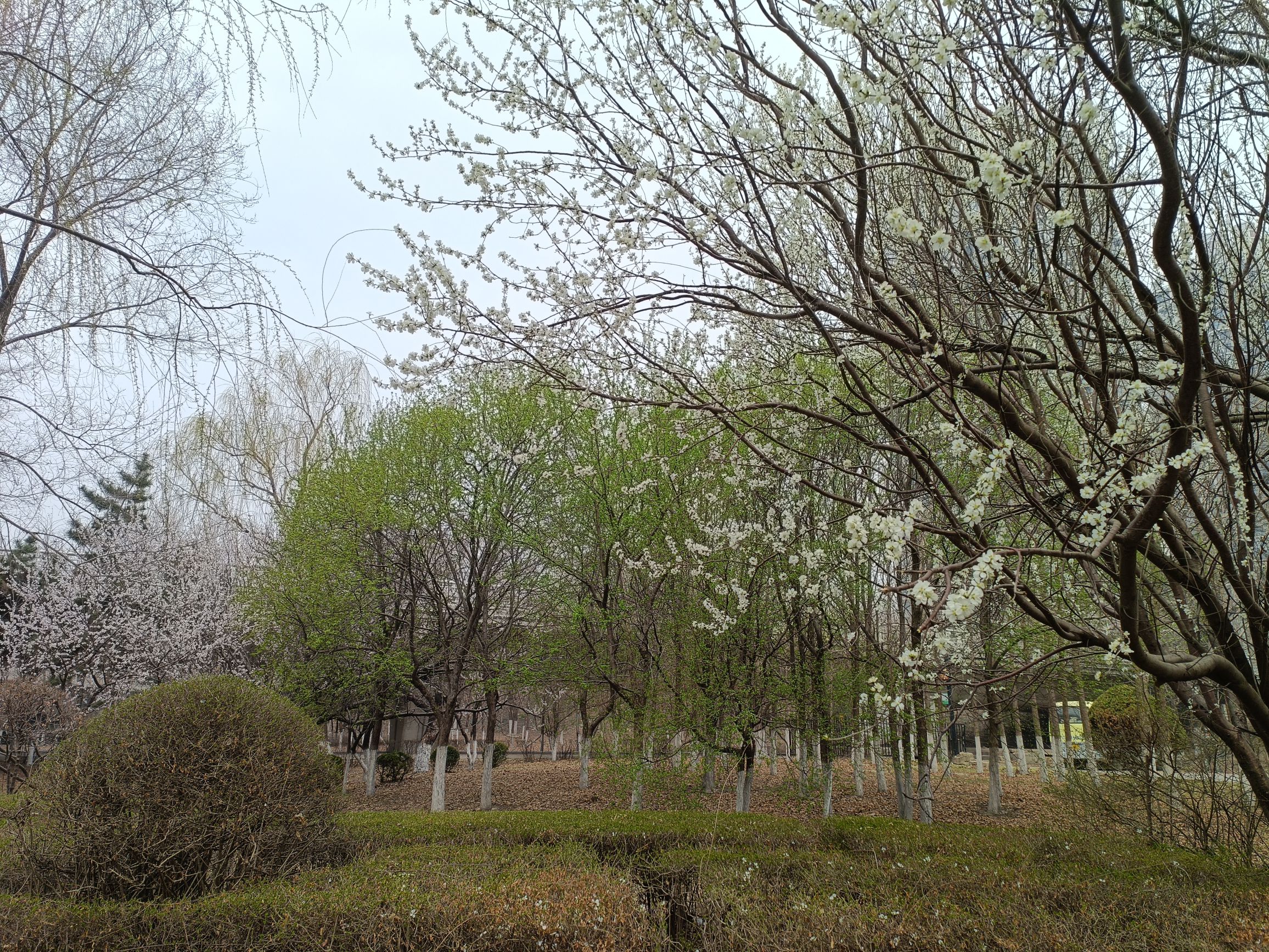 罗士圈生态公园旅行图片 3