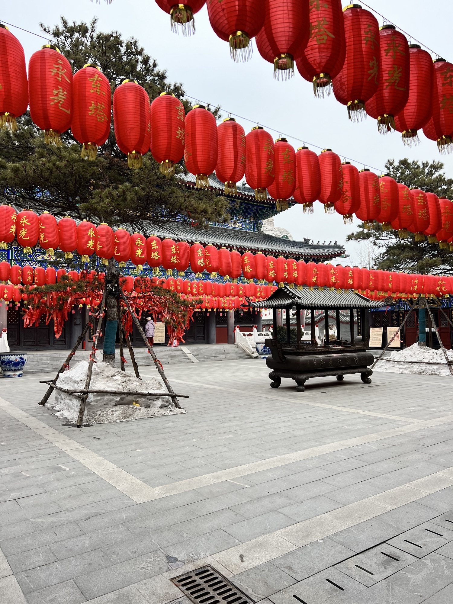 东塔园旅行图片 1