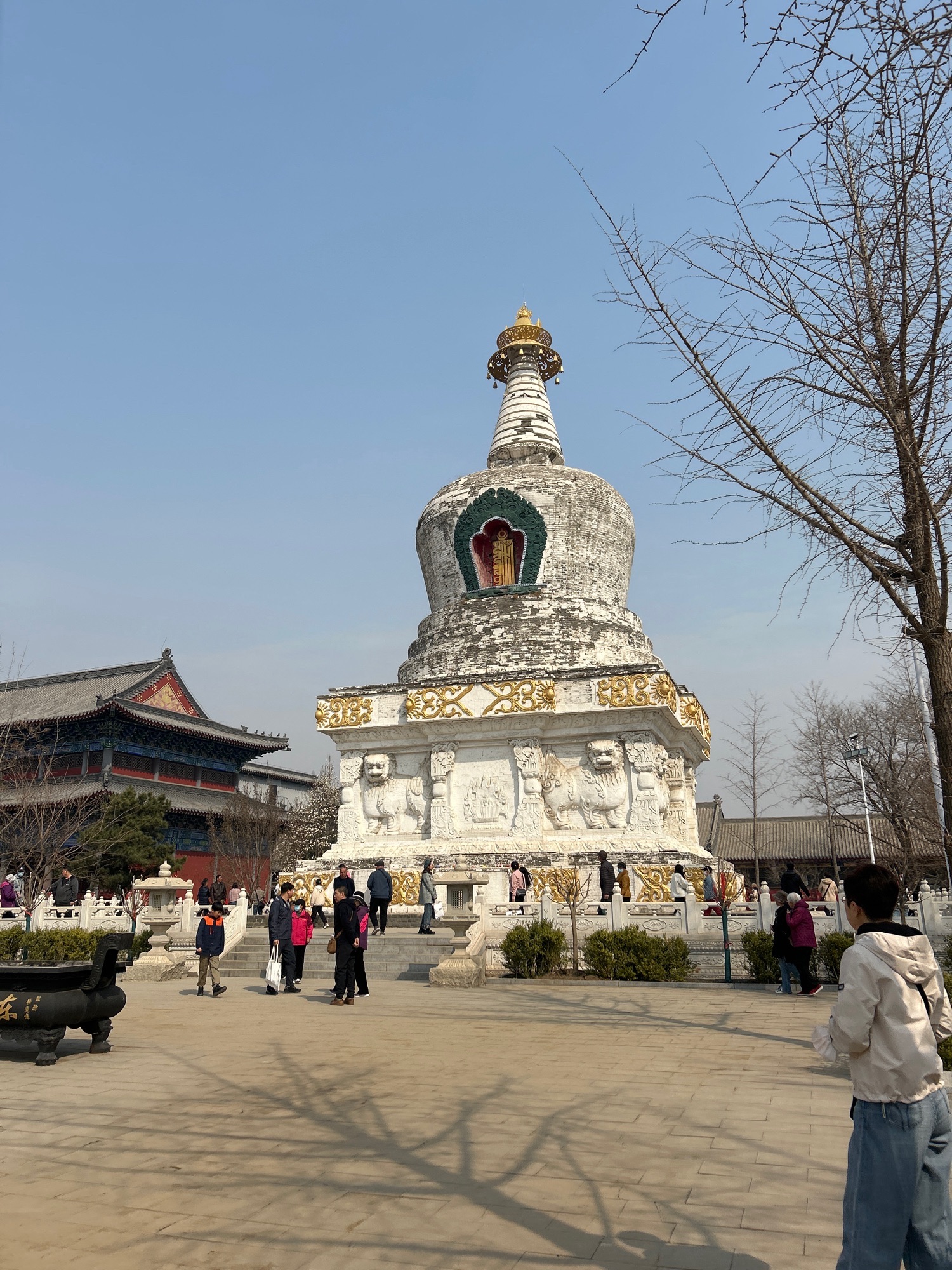 东塔园旅行图片 3