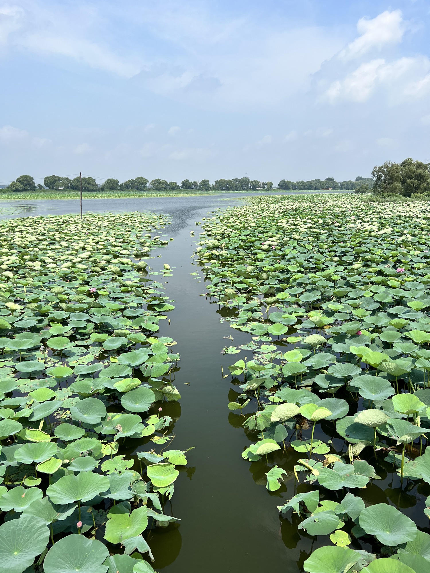 沈阳仙子湖风景旅游度假区旅行图片 2