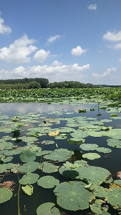沈阳仙子湖风景旅游度假区旅行图片 3