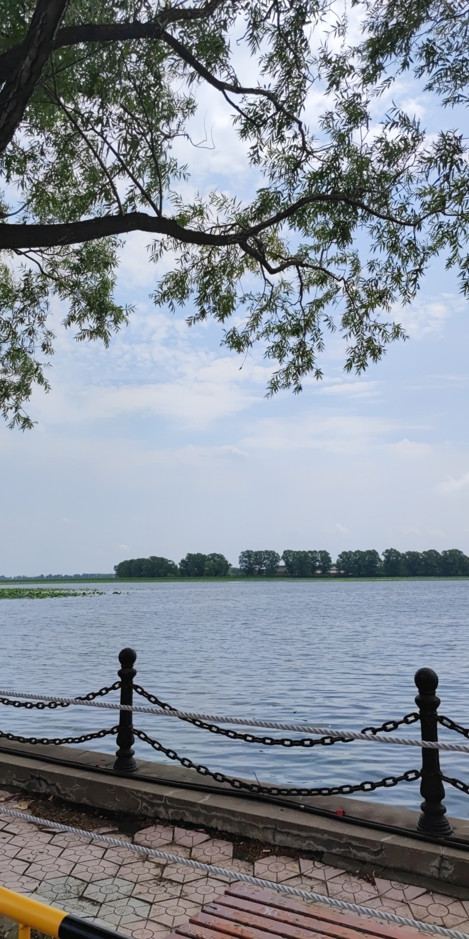 沈阳仙子湖风景旅游度假区旅行图片 3