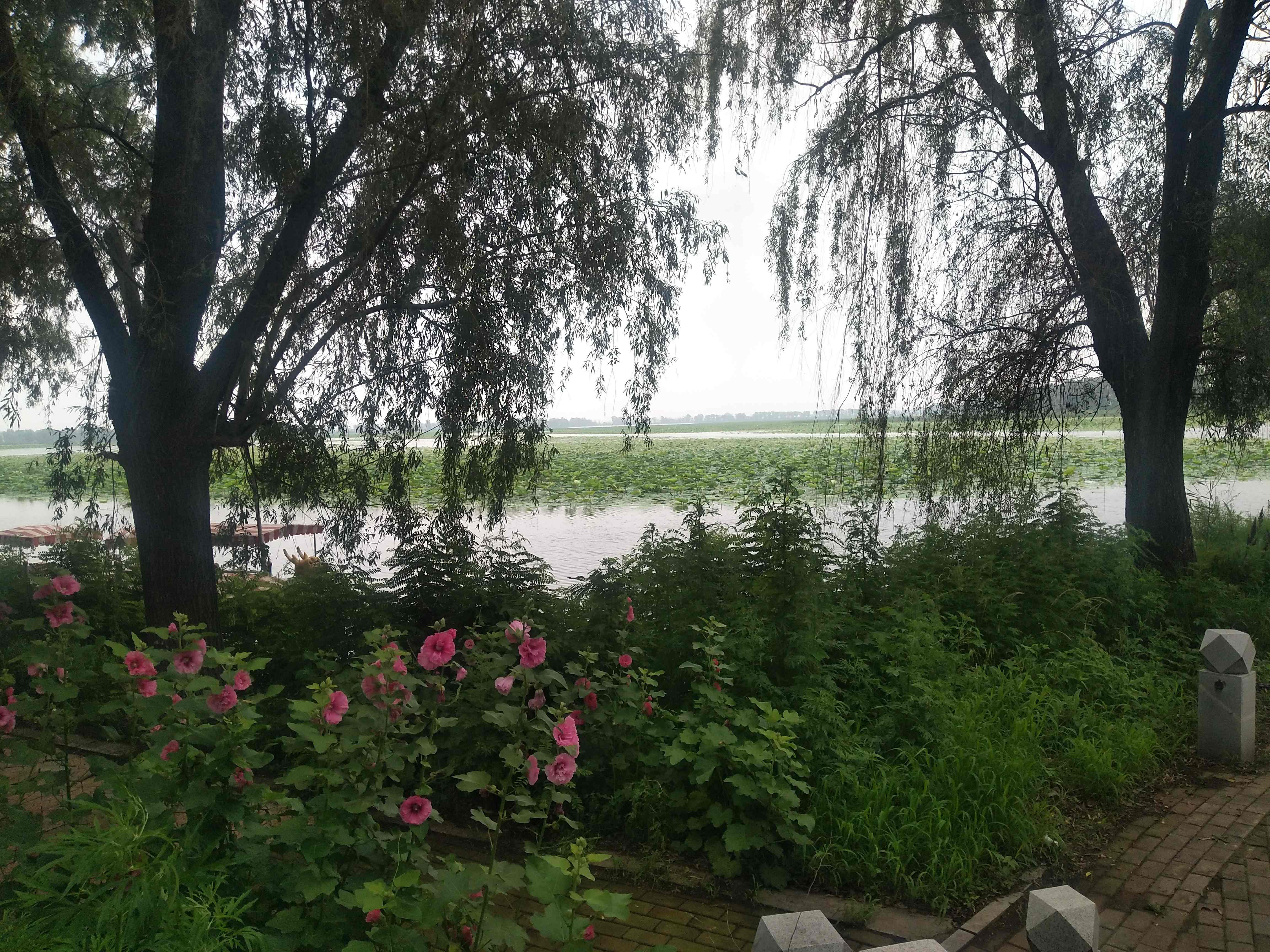 沈阳仙子湖风景旅游度假区旅行图片 3