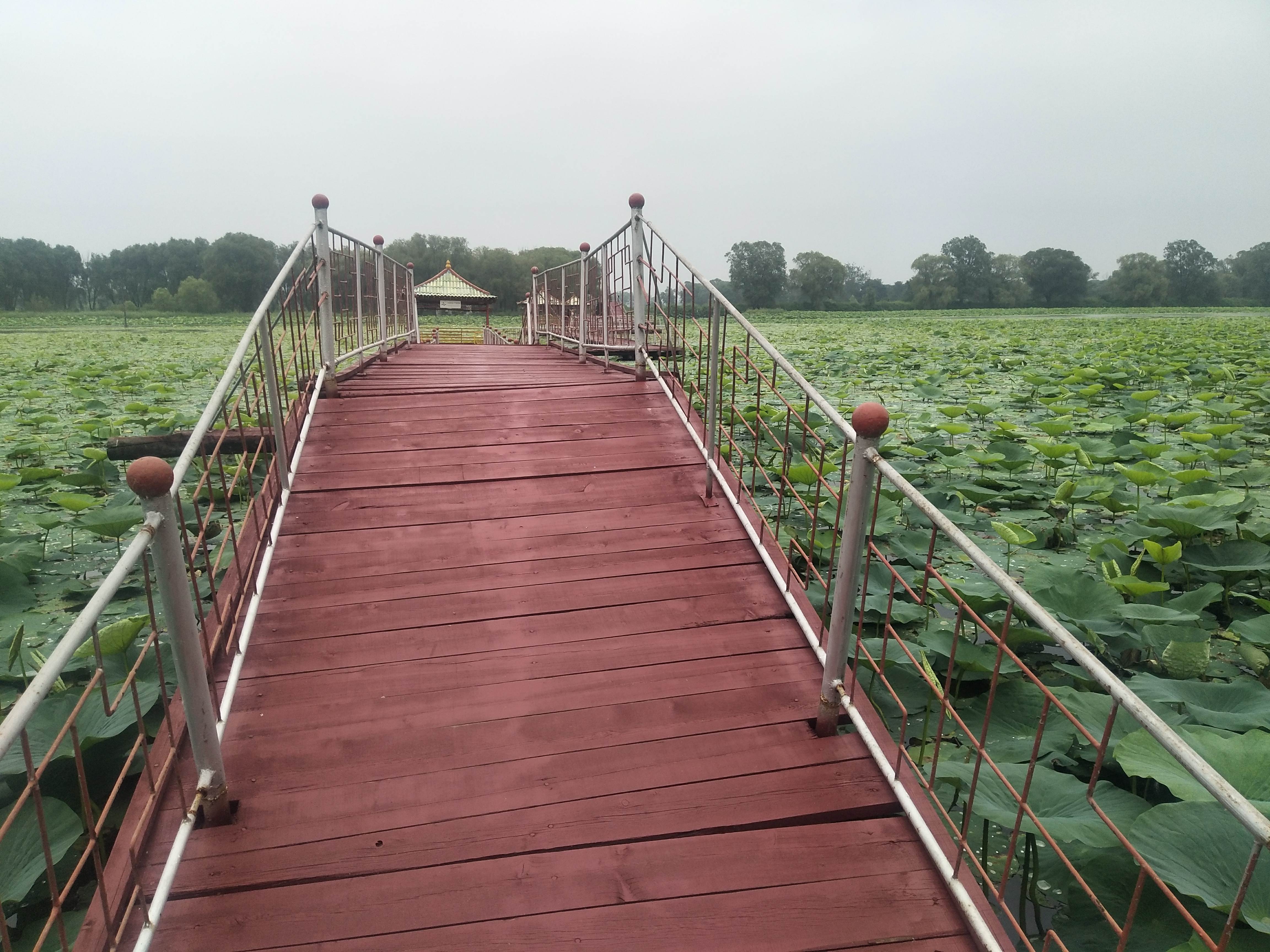 沈阳仙子湖风景旅游度假区旅行图片 2