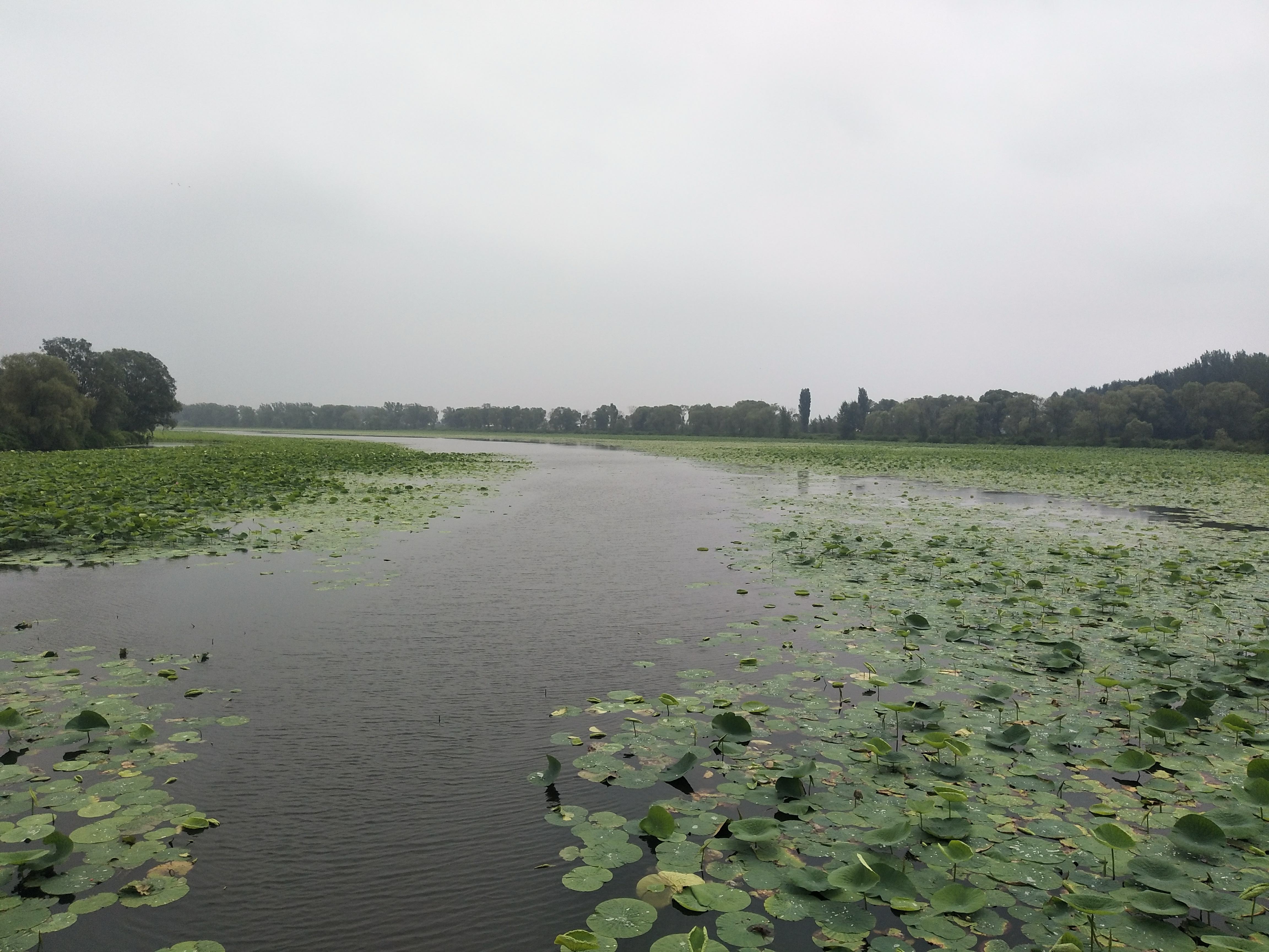 沈阳仙子湖风景旅游度假区旅行图片 1