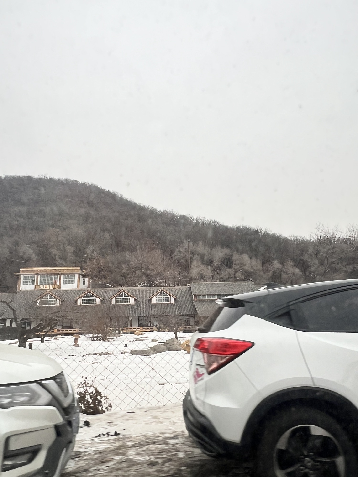 沈阳国家森林公园旅行图片 3