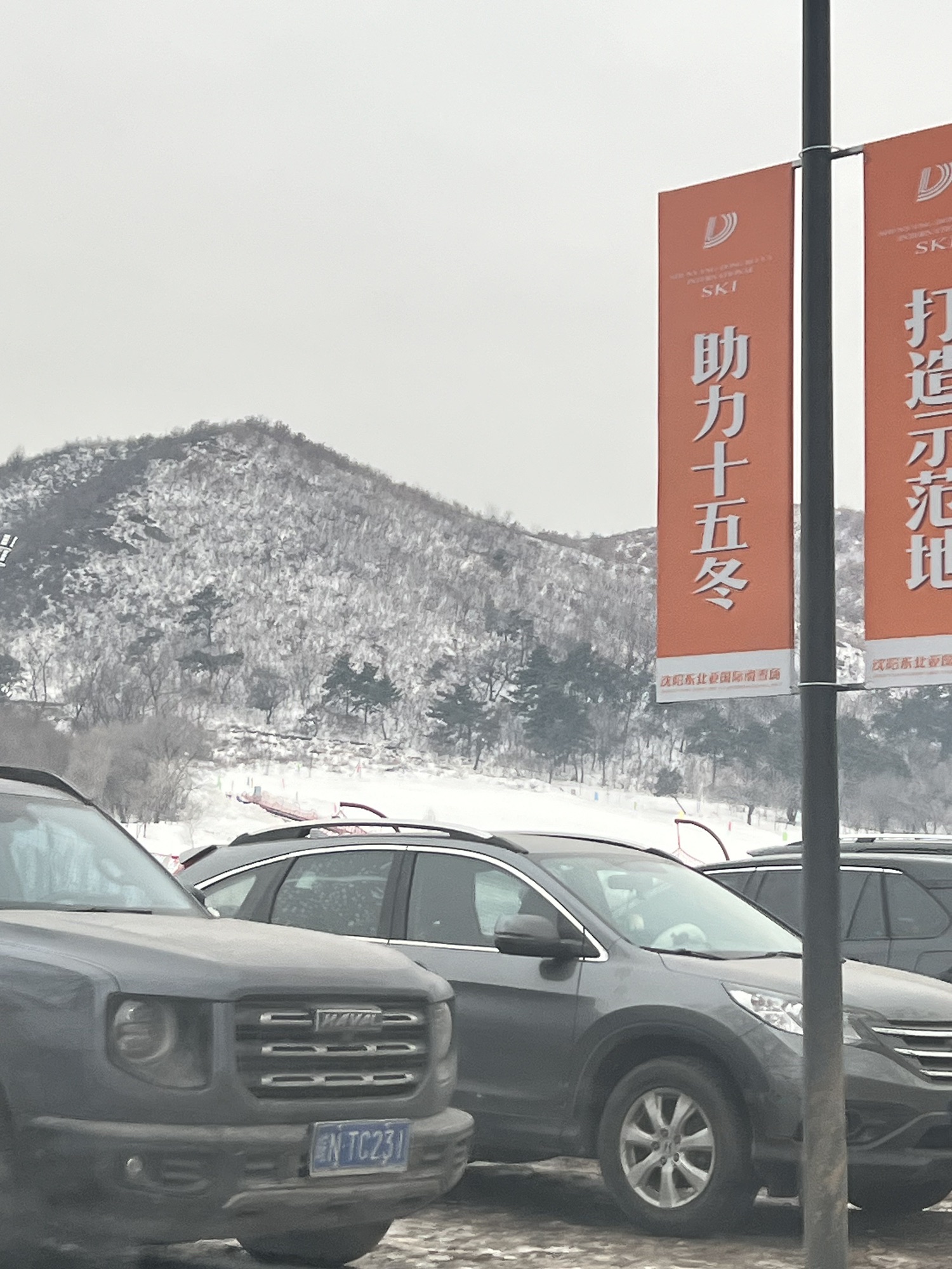沈阳国家森林公园旅行图片 2