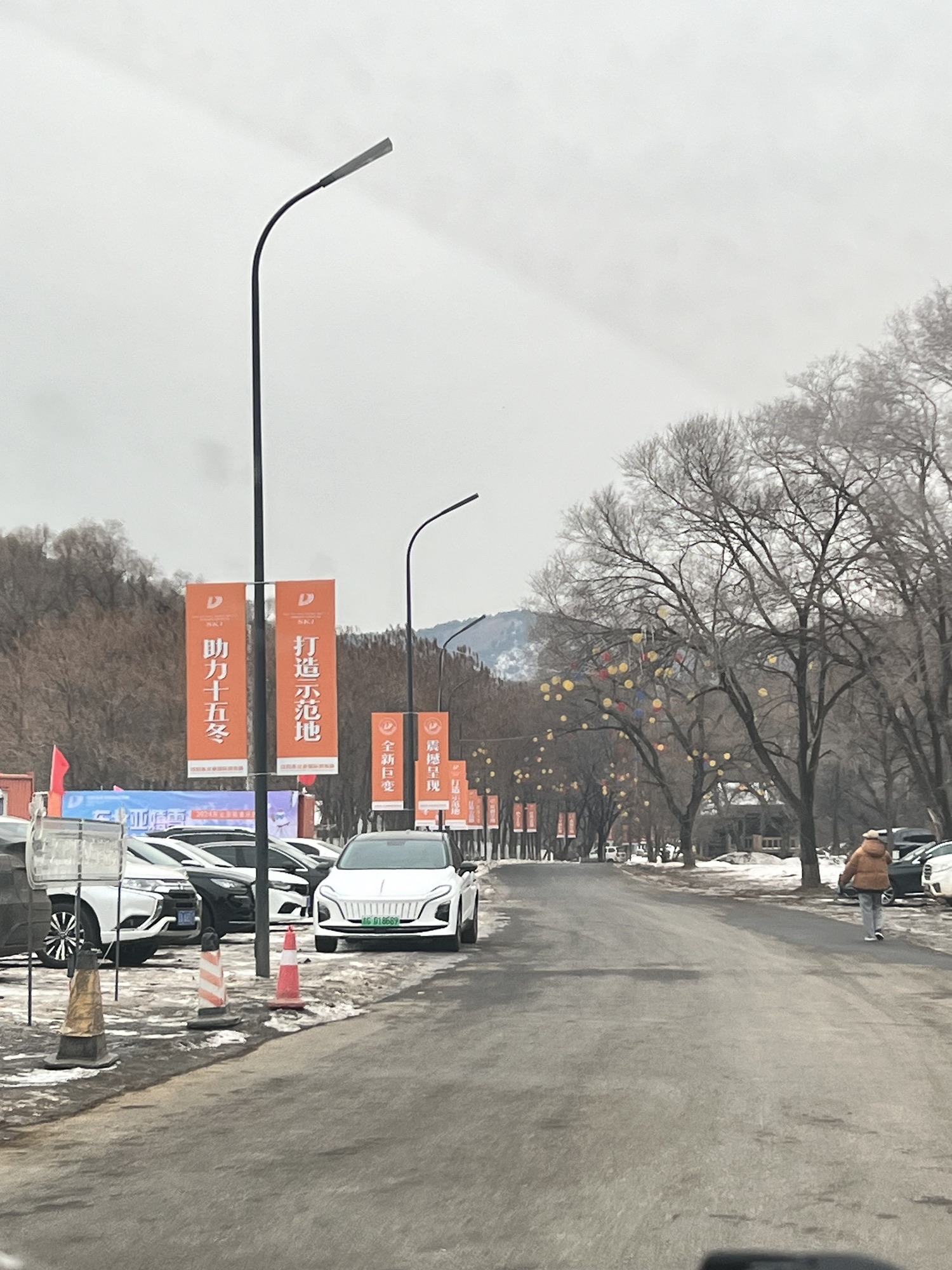沈阳国家森林公园旅行图片 1