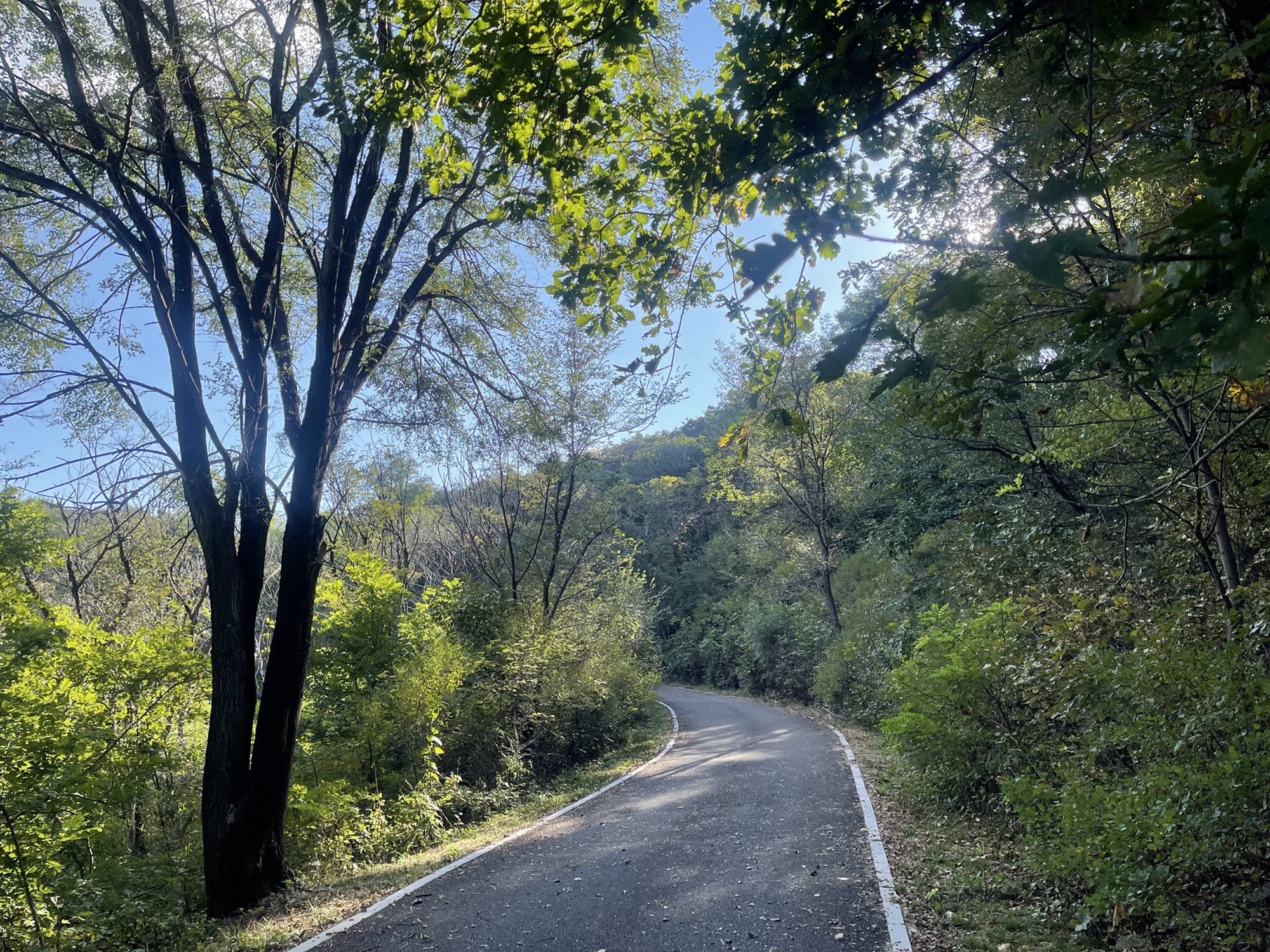 沈阳国家森林公园旅行图片 3